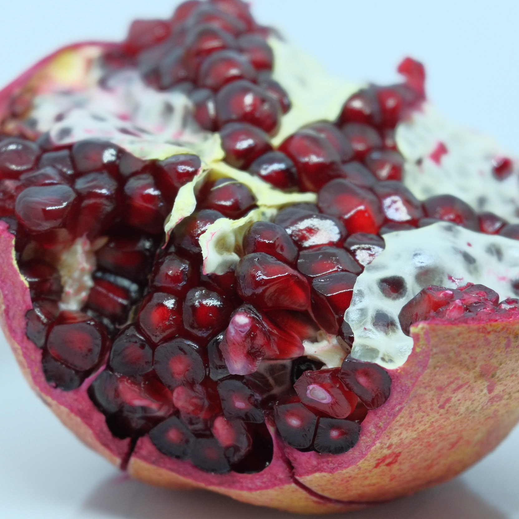 The Fuji X-E1 with XC50-230mm again, full zoom. It did struggle a little with the white-balance in this. But still straight out of camera.