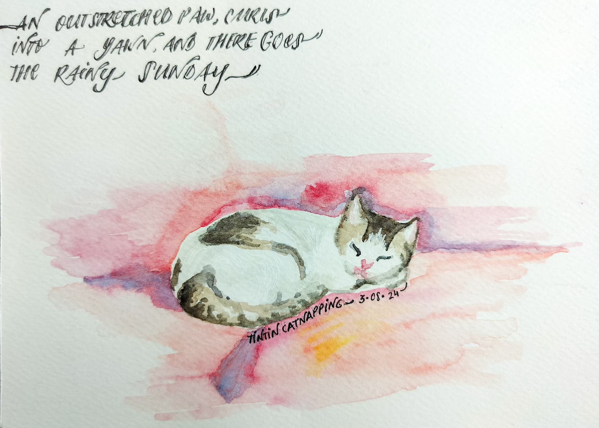 A friend's cat and a haiku