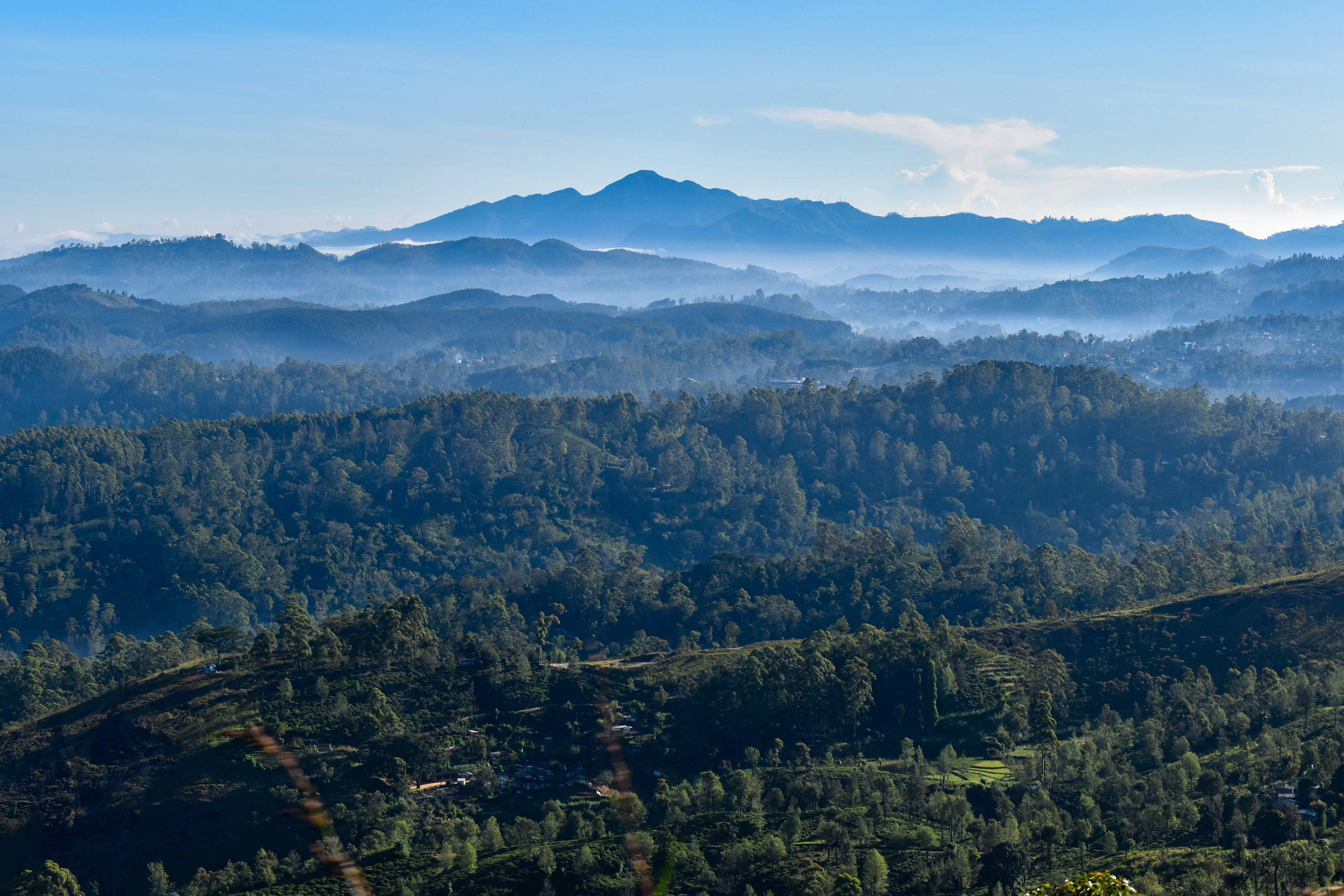 Tea country, Sri Lanka