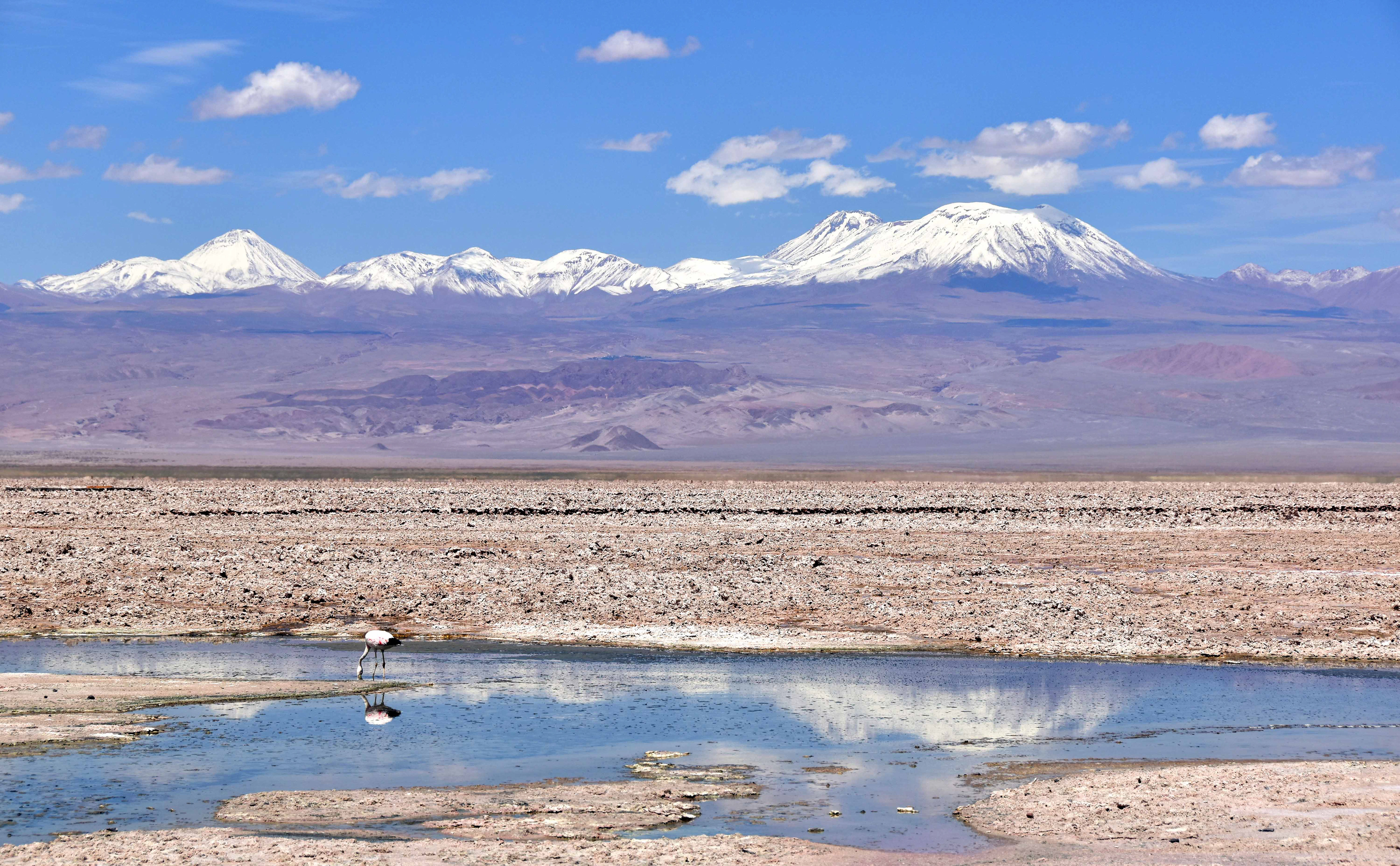 Laguna Chaxa, Atacama Desert, Chile