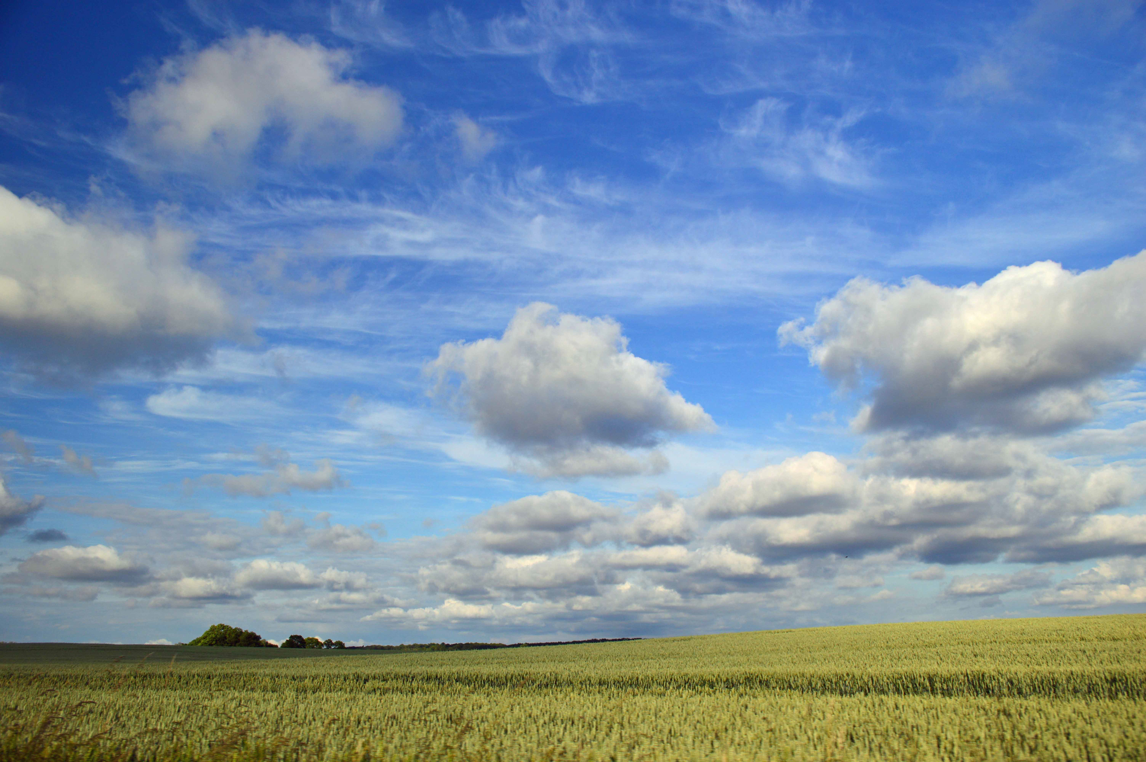 Danish countryside