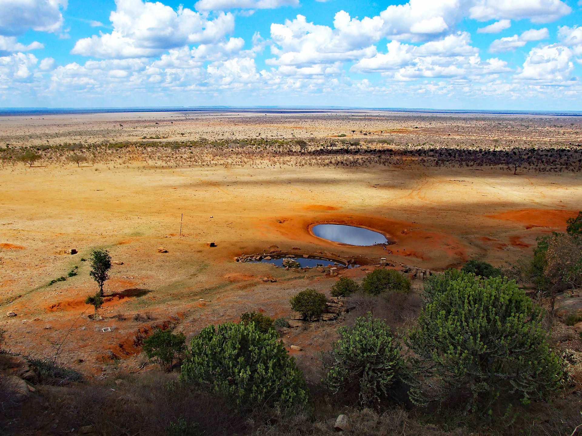 Tsavo East National Park, Kenya
