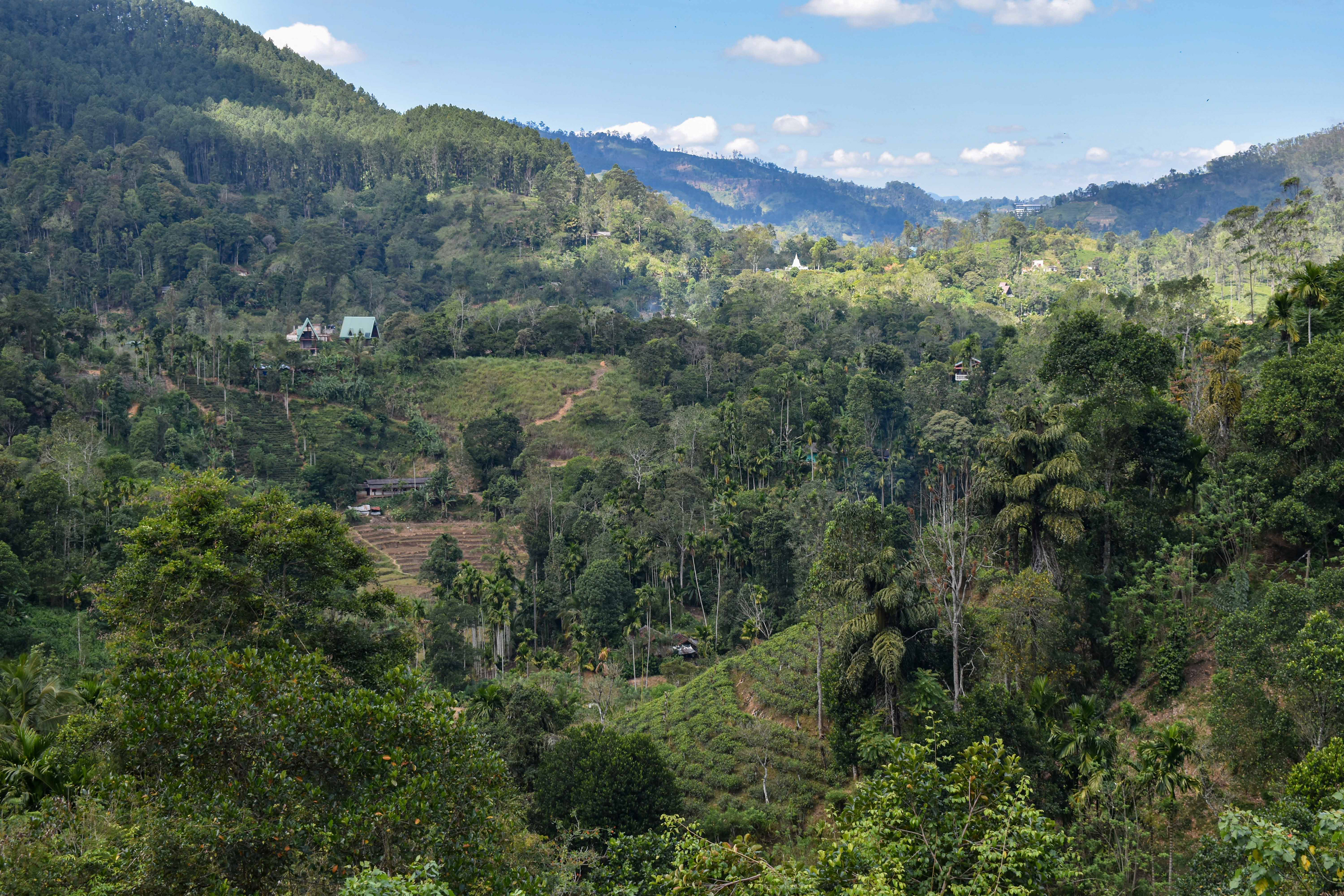 View from walking the track near Ella