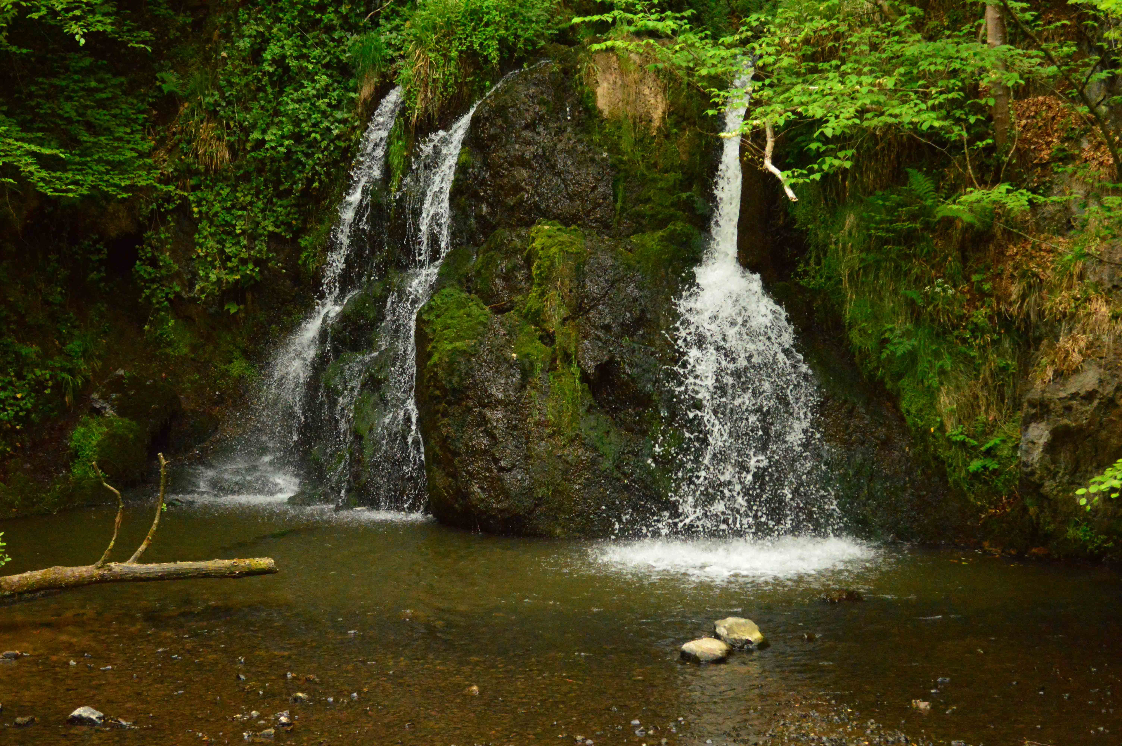 A fast shutter speed looks a bit meh...