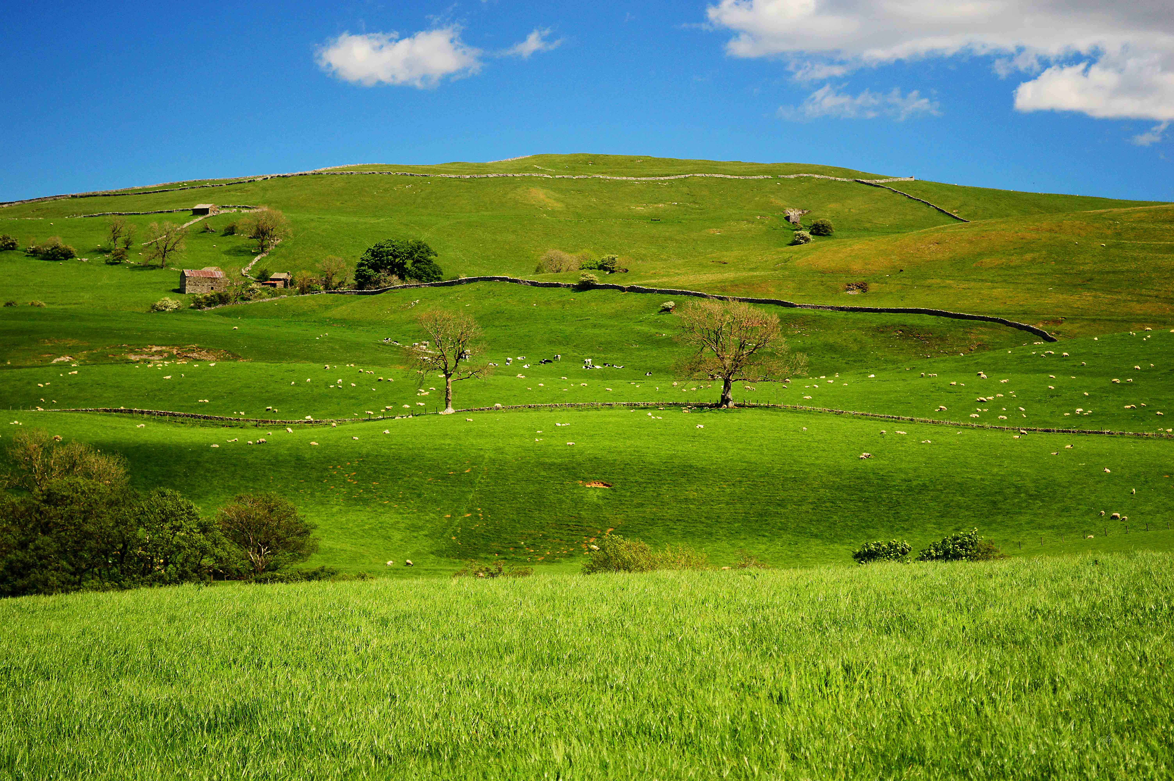 The Yorkshire Dales, U.K.