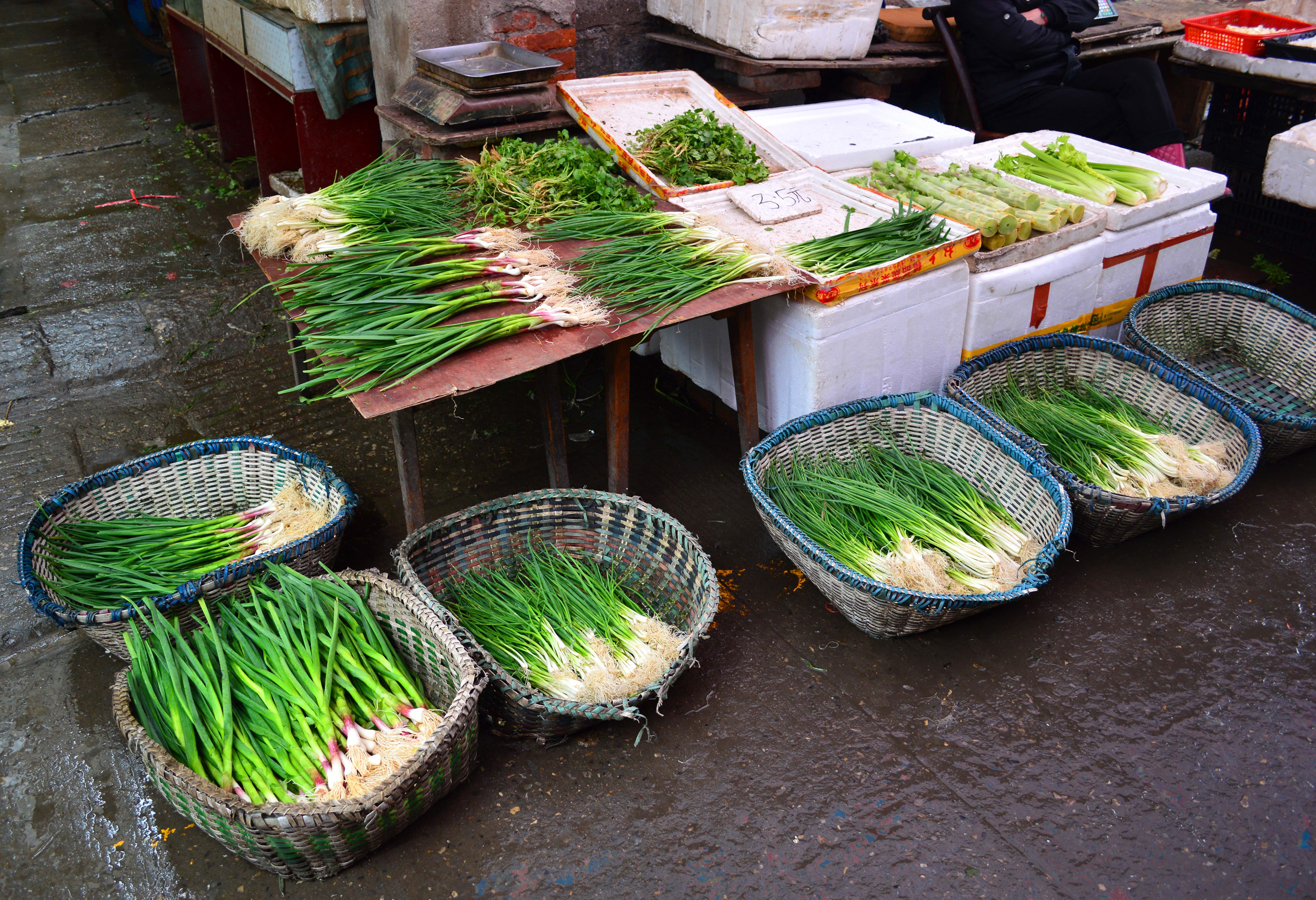 Spring Onion Varieties, Yichang, China