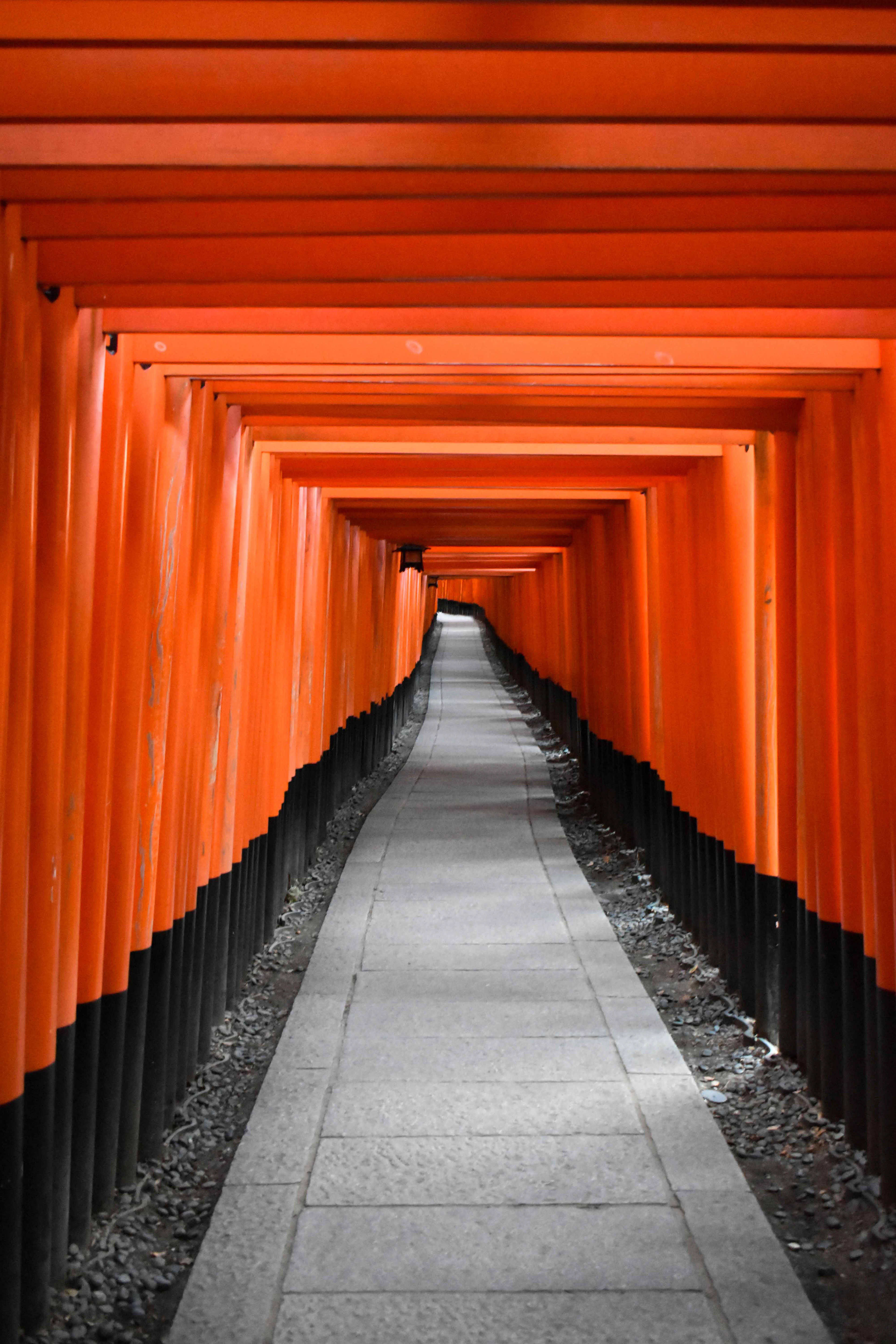 Fushimi, Inari Shrine, Kyoto, Japan