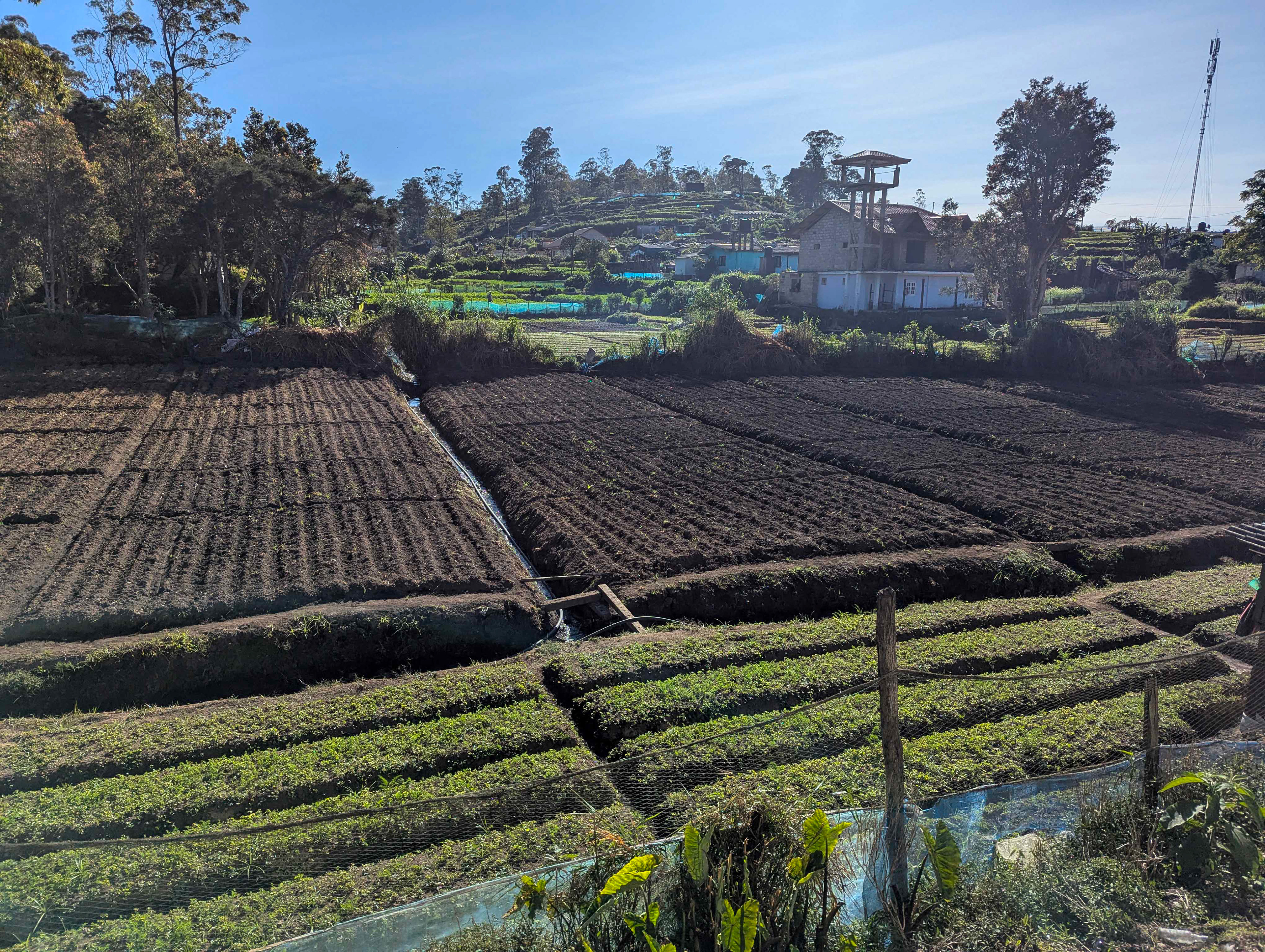 Some of the cultivated land along the way...