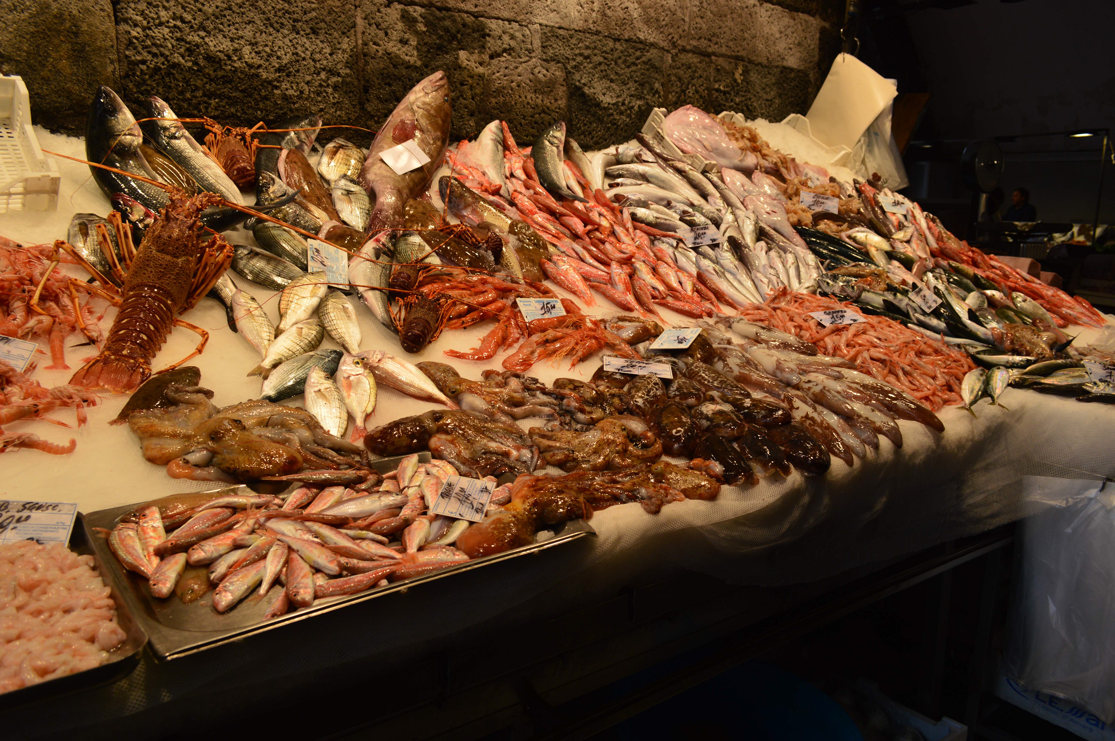 Fish Display in Catania Market