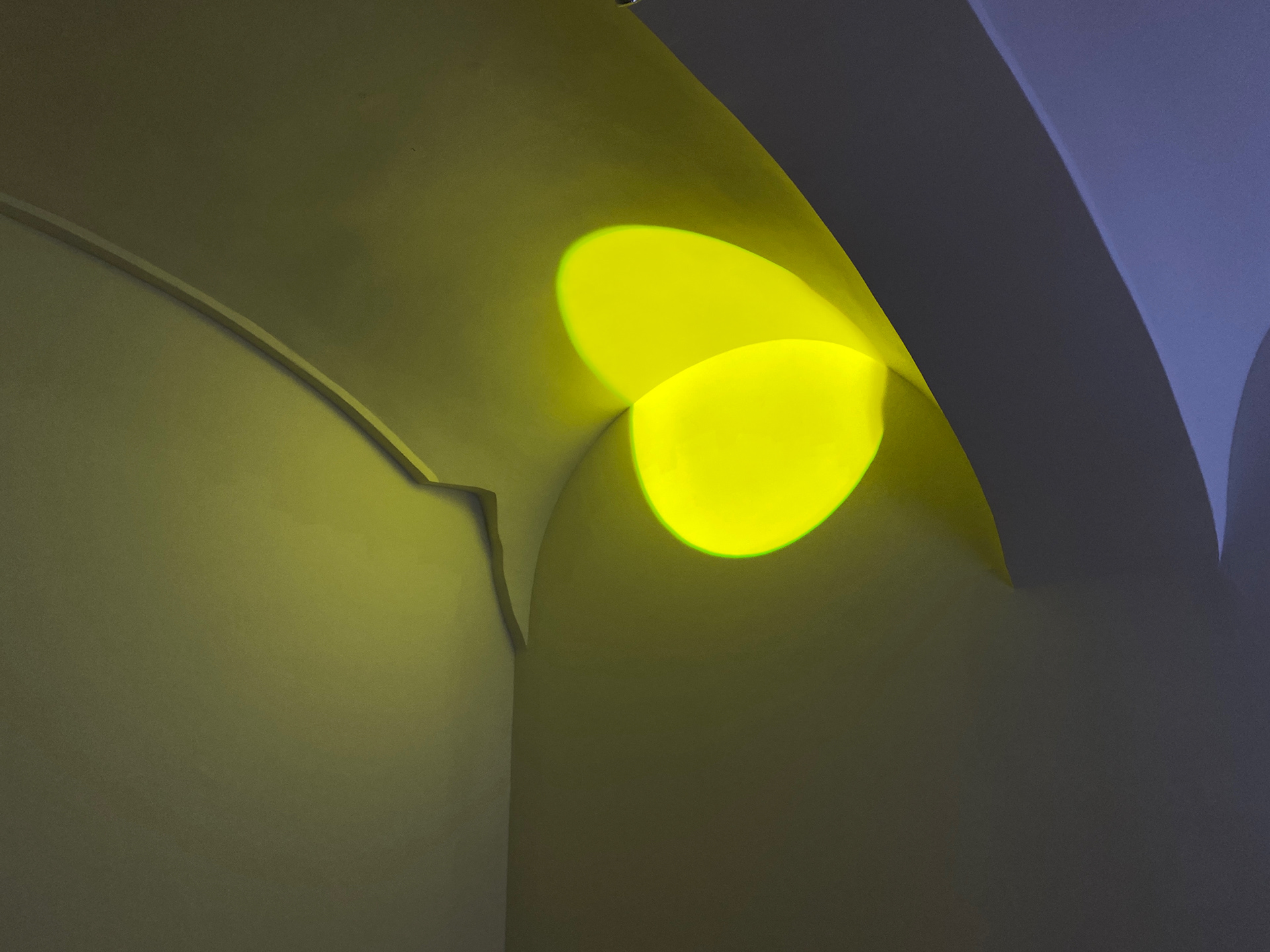 Installationsansicht©Martina Tritthart2023