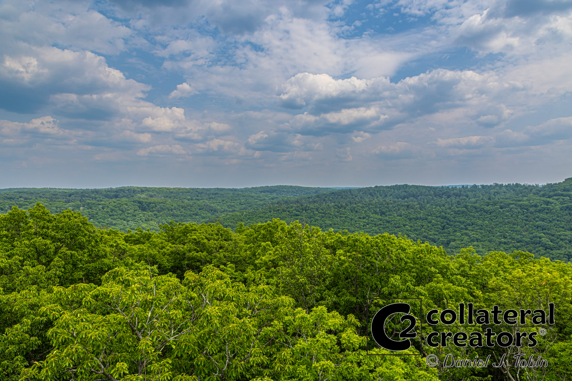 Cook Forest - Cooksburg, Pennsylvania