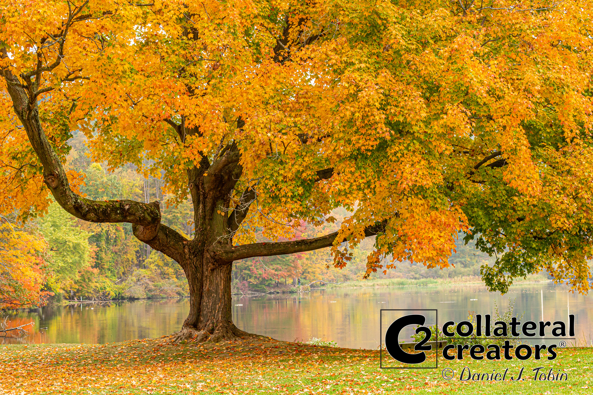 Fall in North Park - McCandless, Pennsylvania