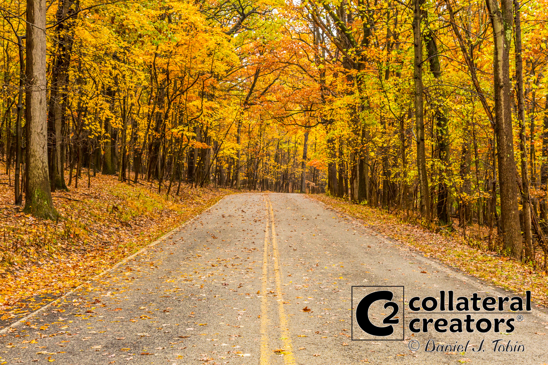 Fall in North Park - McCandless, Pennsylvania