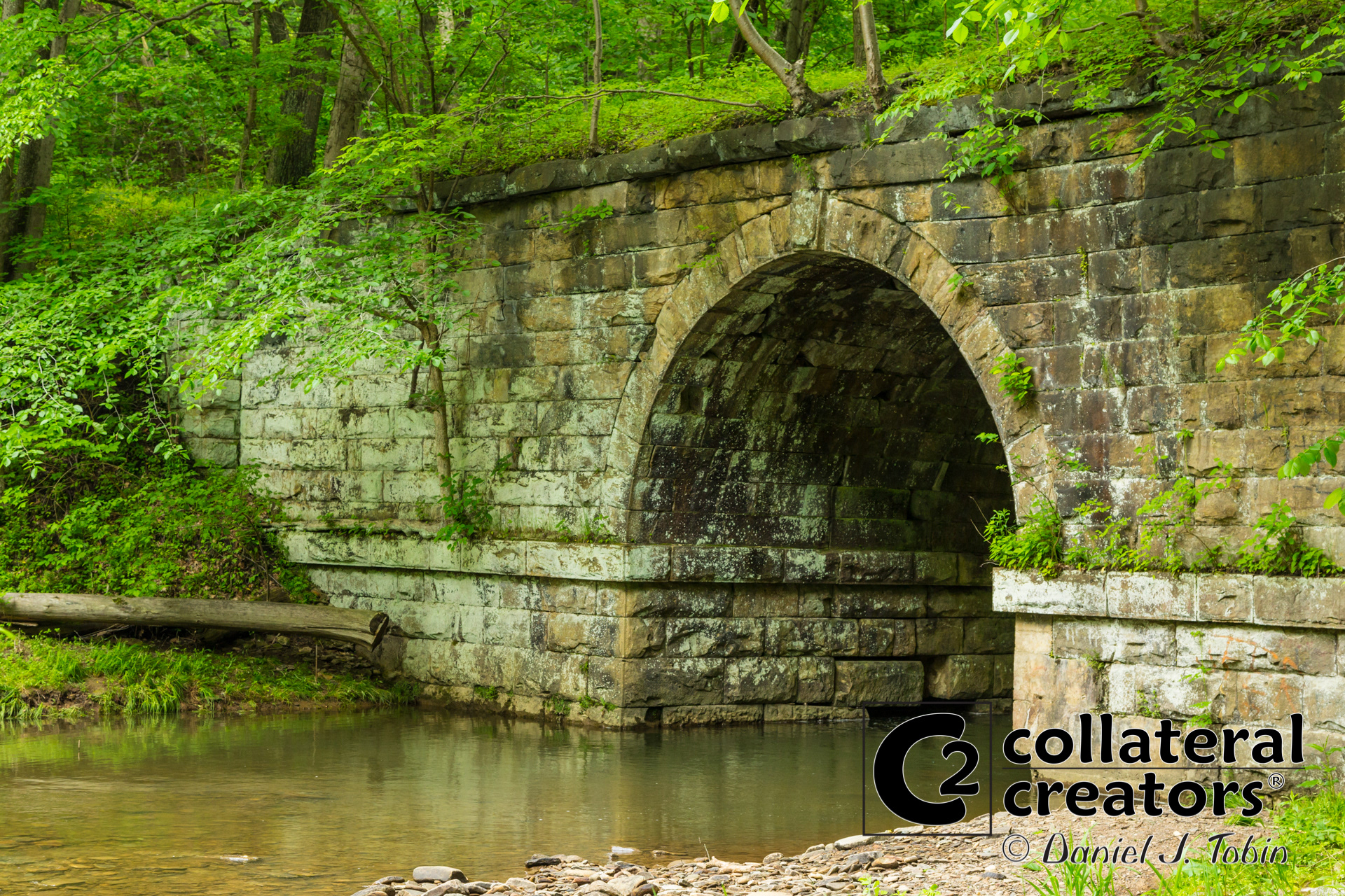 Allegheny River Trail