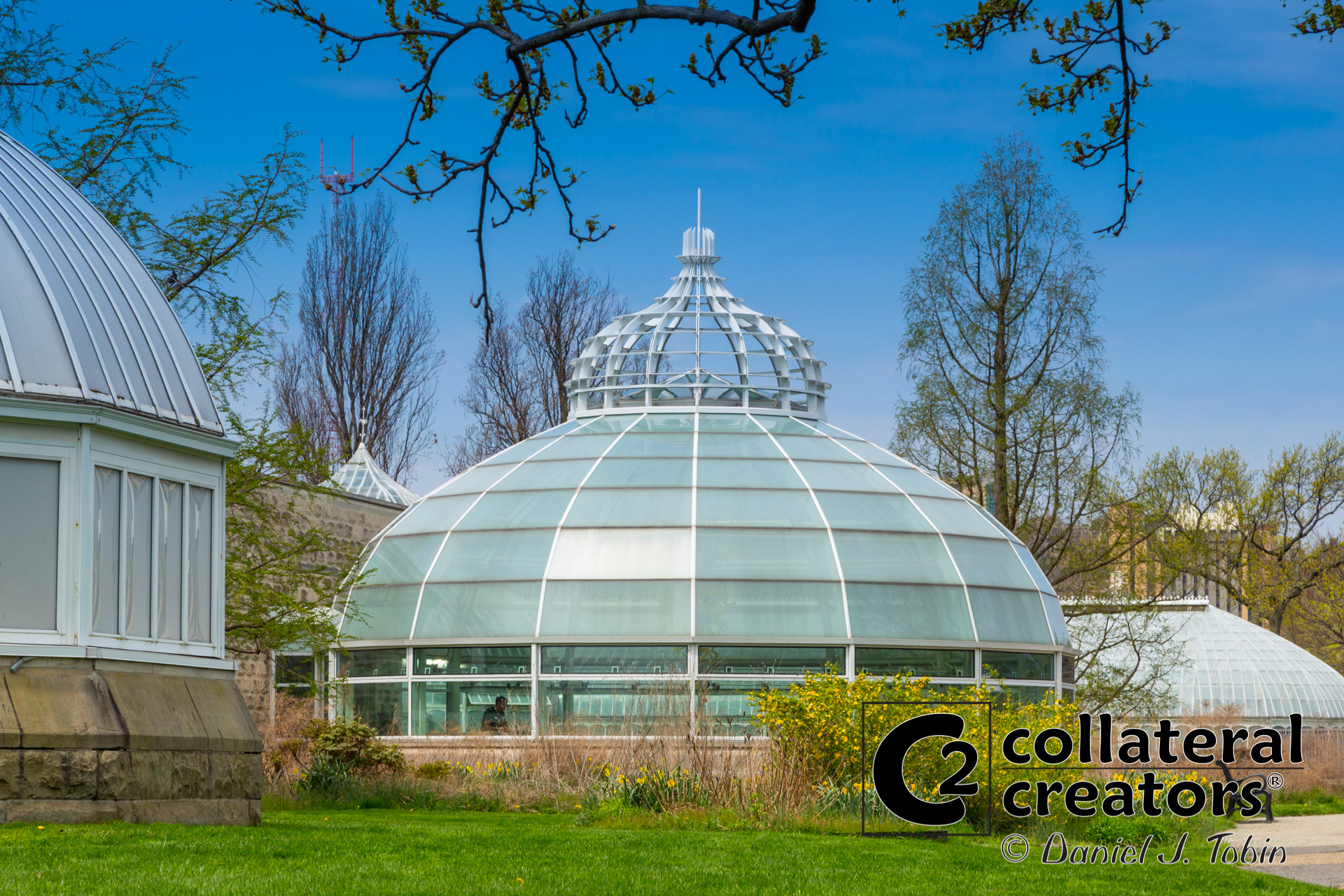 Phipps Conservatory - Oakland, Pennsylvania