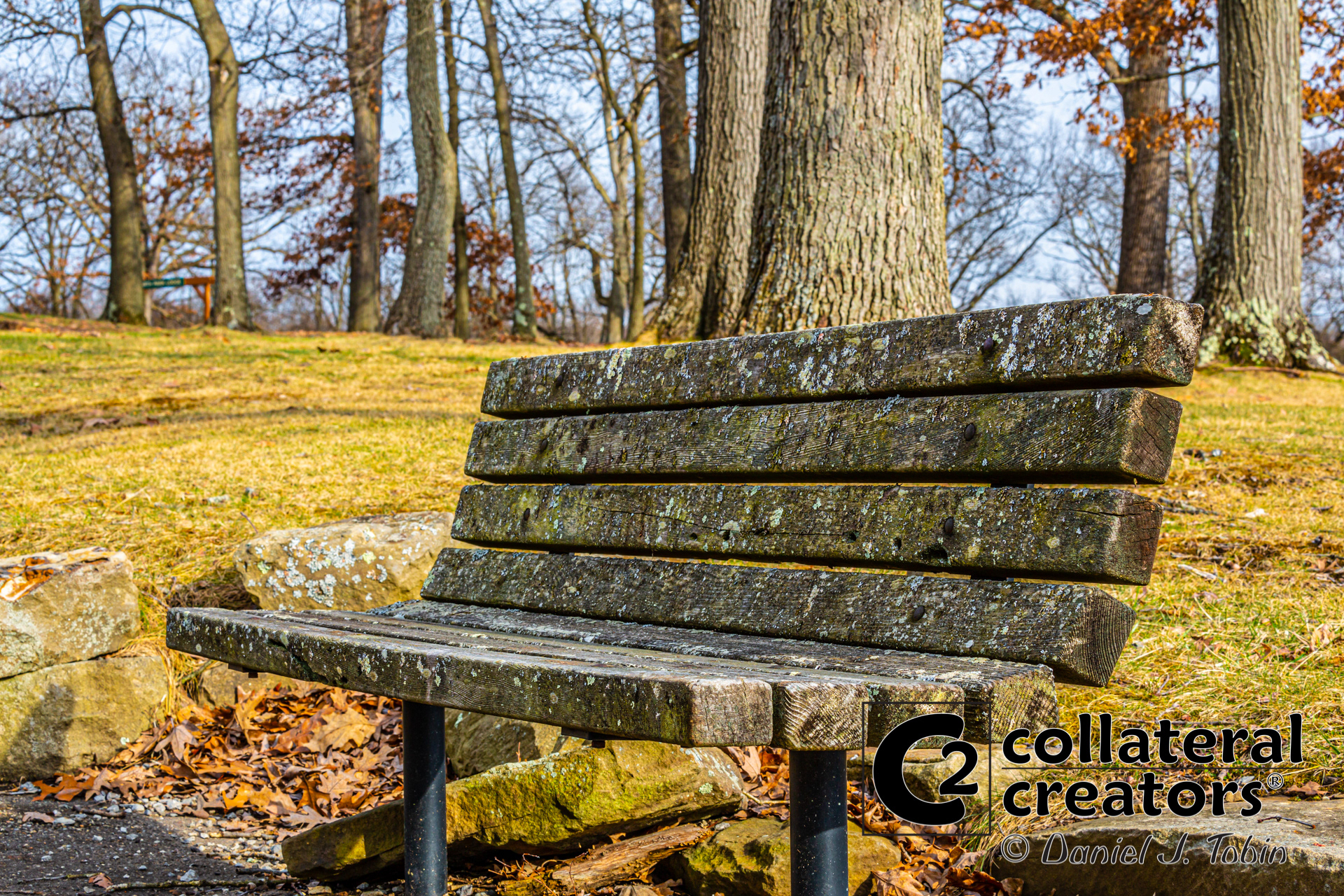 Park Bench in North Park - McCandless, Pennsylvania