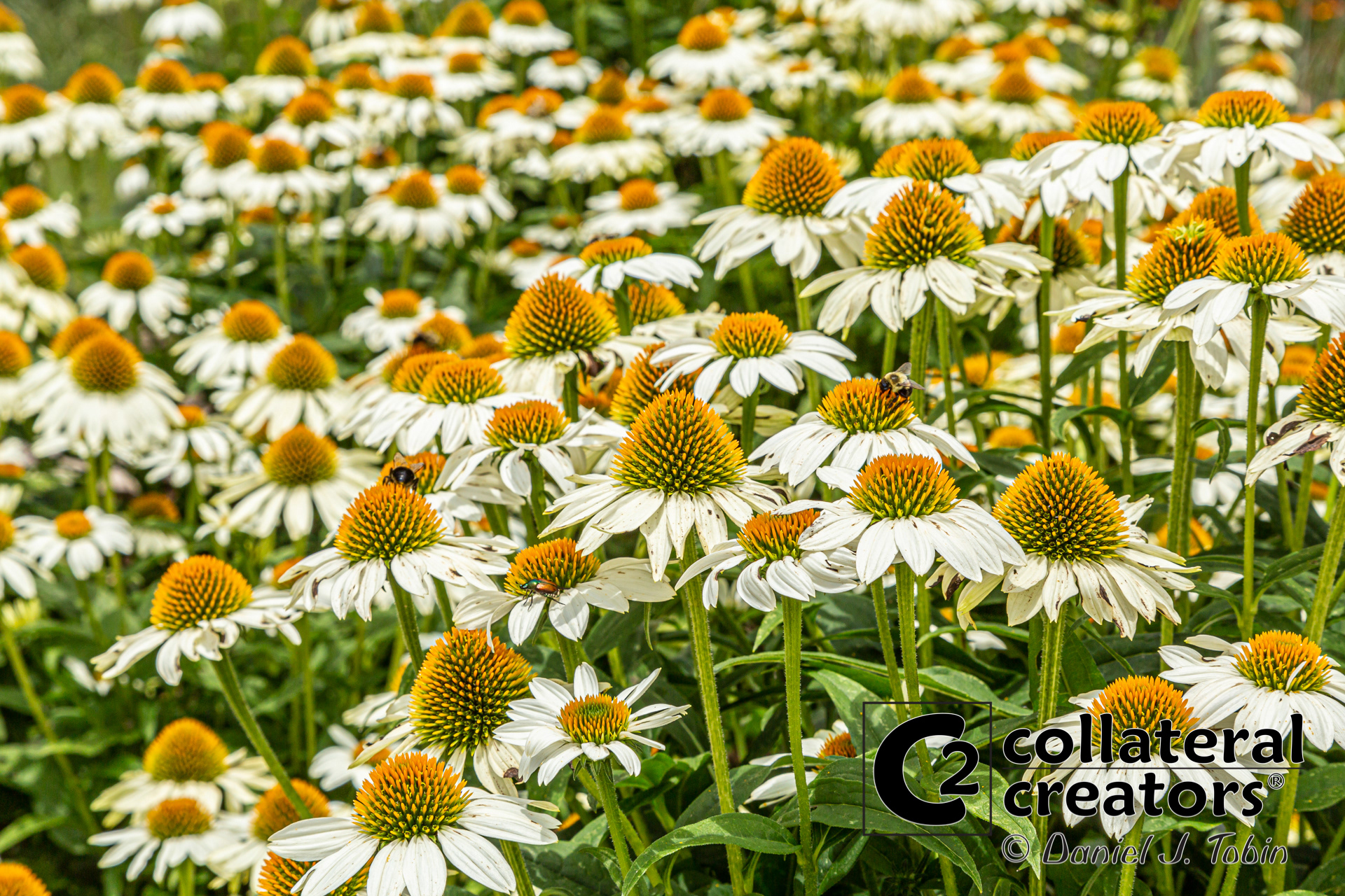 Pittsburgh Botanic Garden - Pittsburgh, Pennsylvania