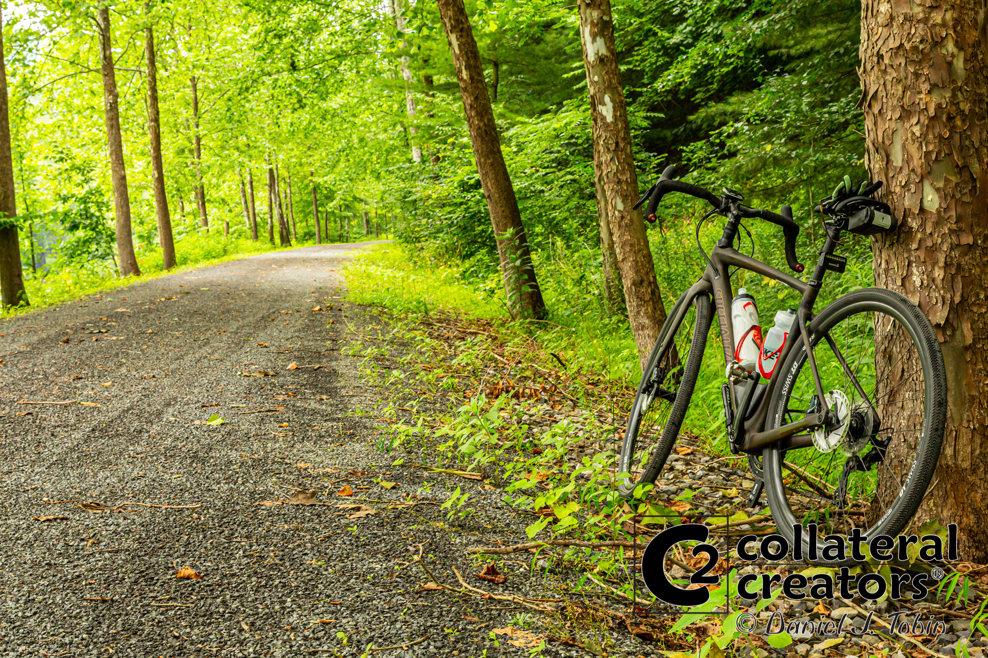Pine Creek Rail Trail - Grand Canyon of Pennsylvania