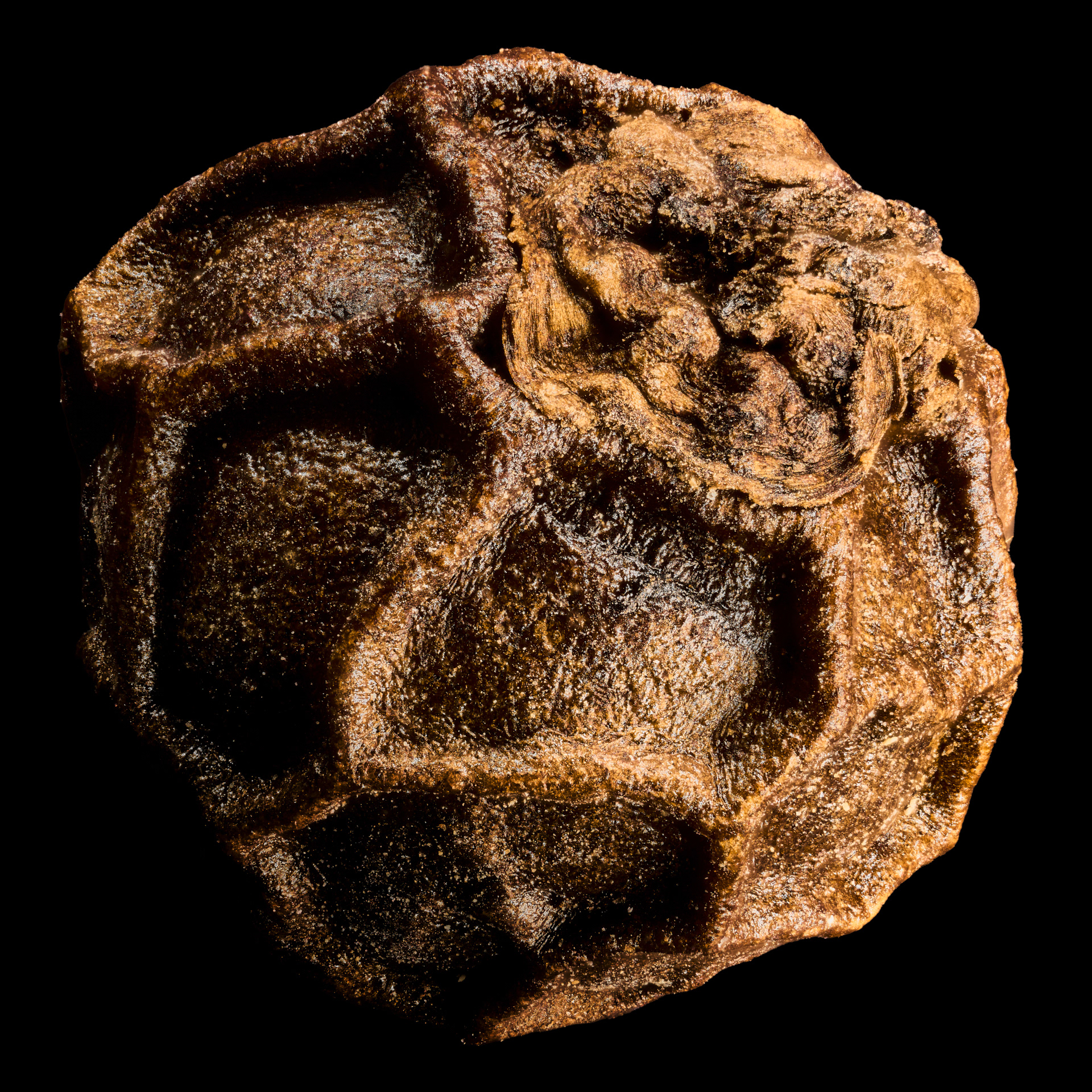 Schwarzer Pfeffer
