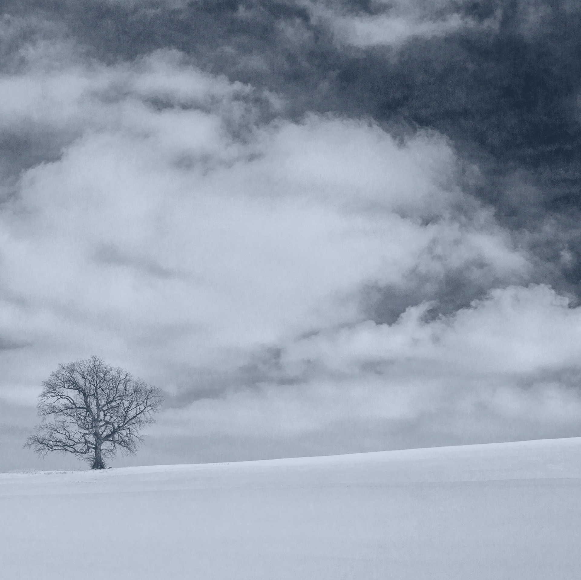 Winter Blues