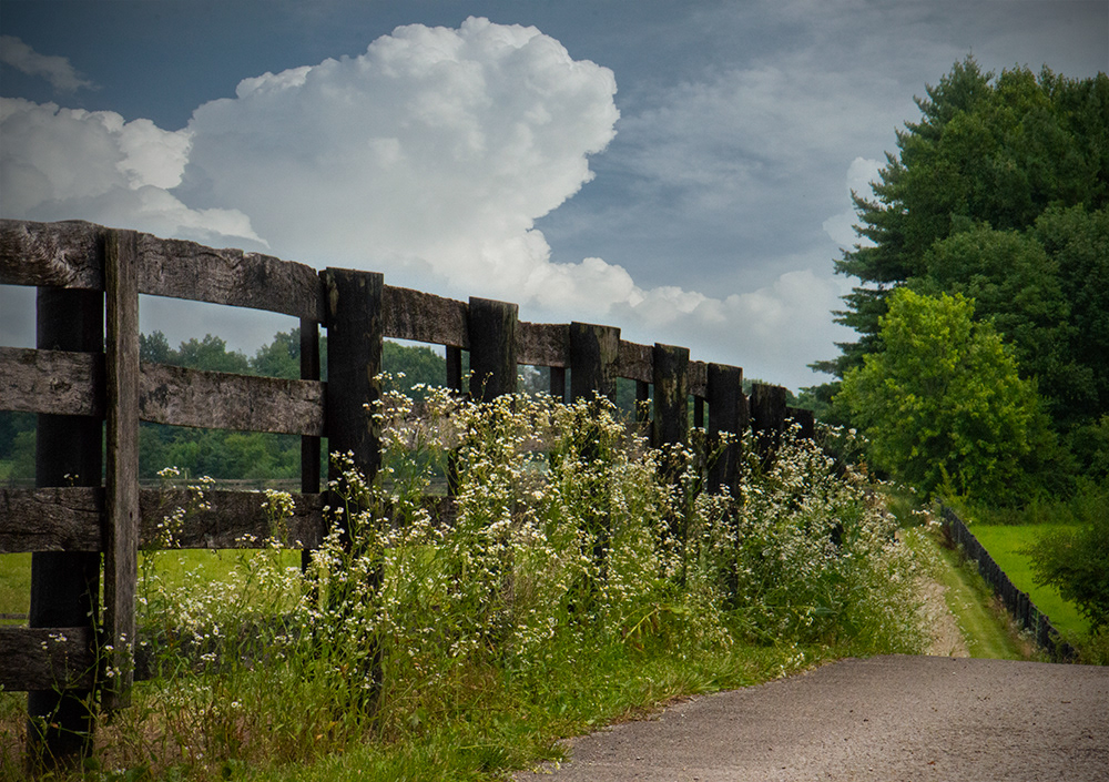 Horse Farm Fenceline