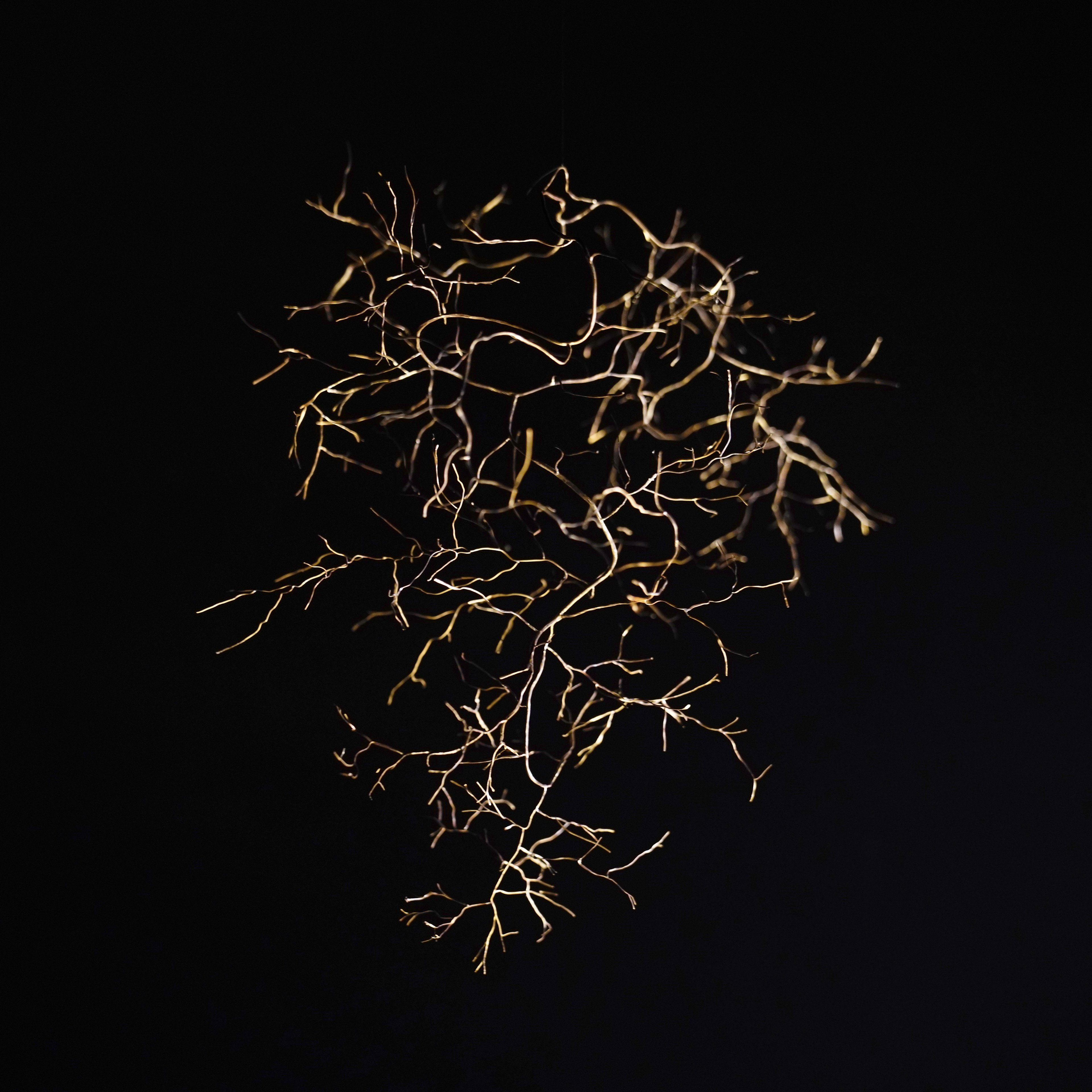 Eriko Komatsubara/transparent line/300x150x400mm/2021/brass/Photographer: Kaneko Akihiko