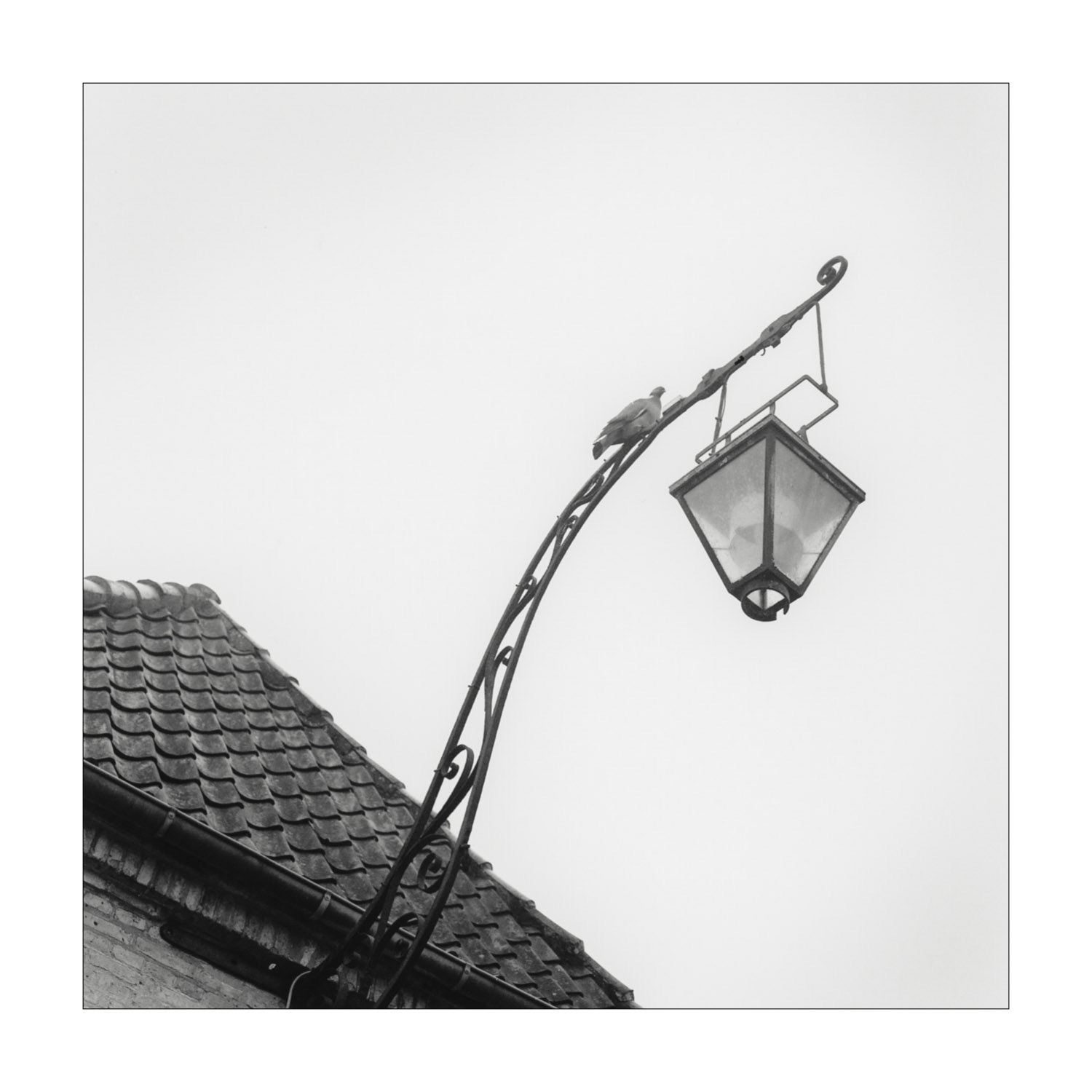 Hasselblad 500 c/mPlanar 80mm f/2.8Ilford HP5 @320PMKPrintIlford RC IV PearlIlford Multigrade developer