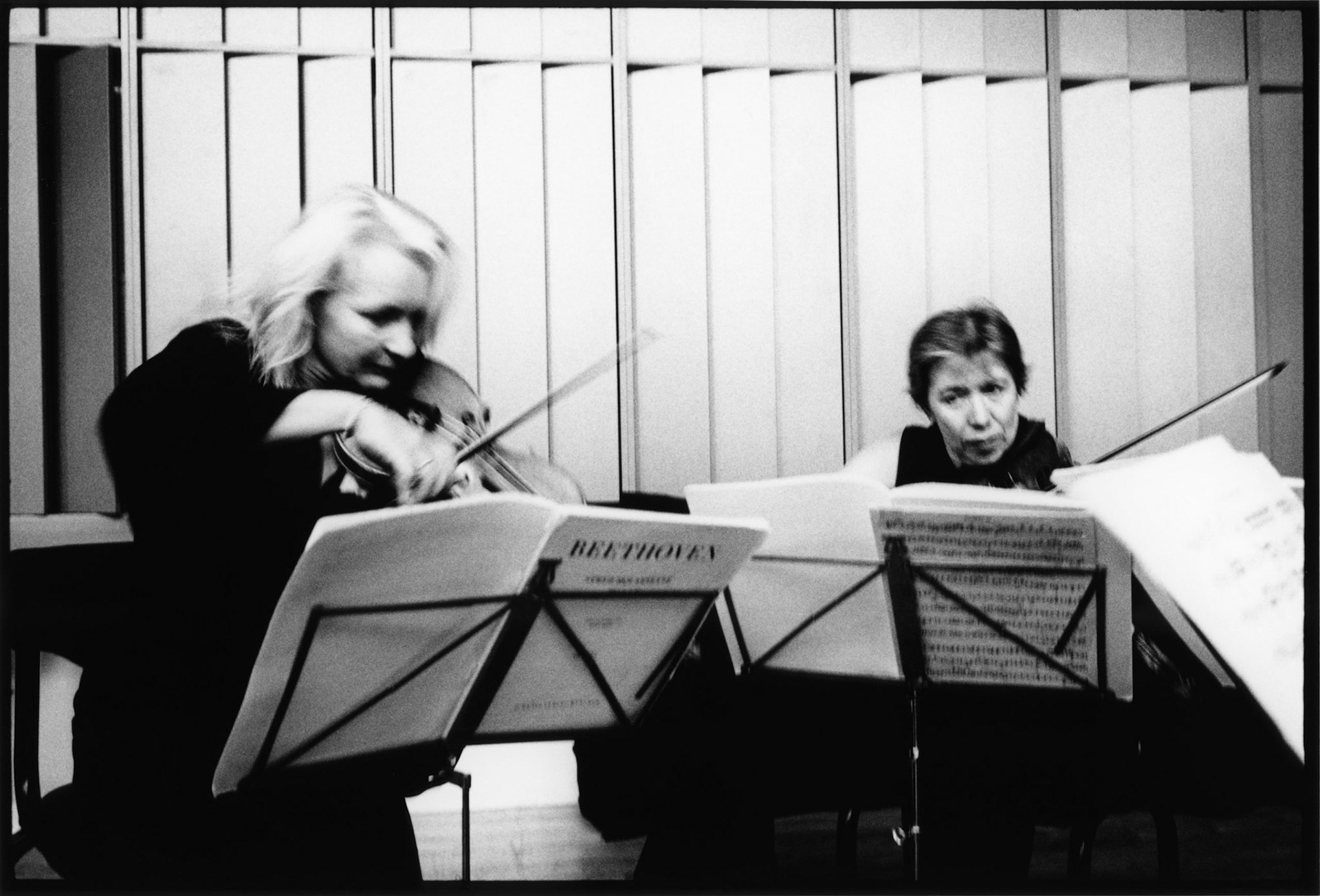 The Mira Quartet © Kasper Pihl