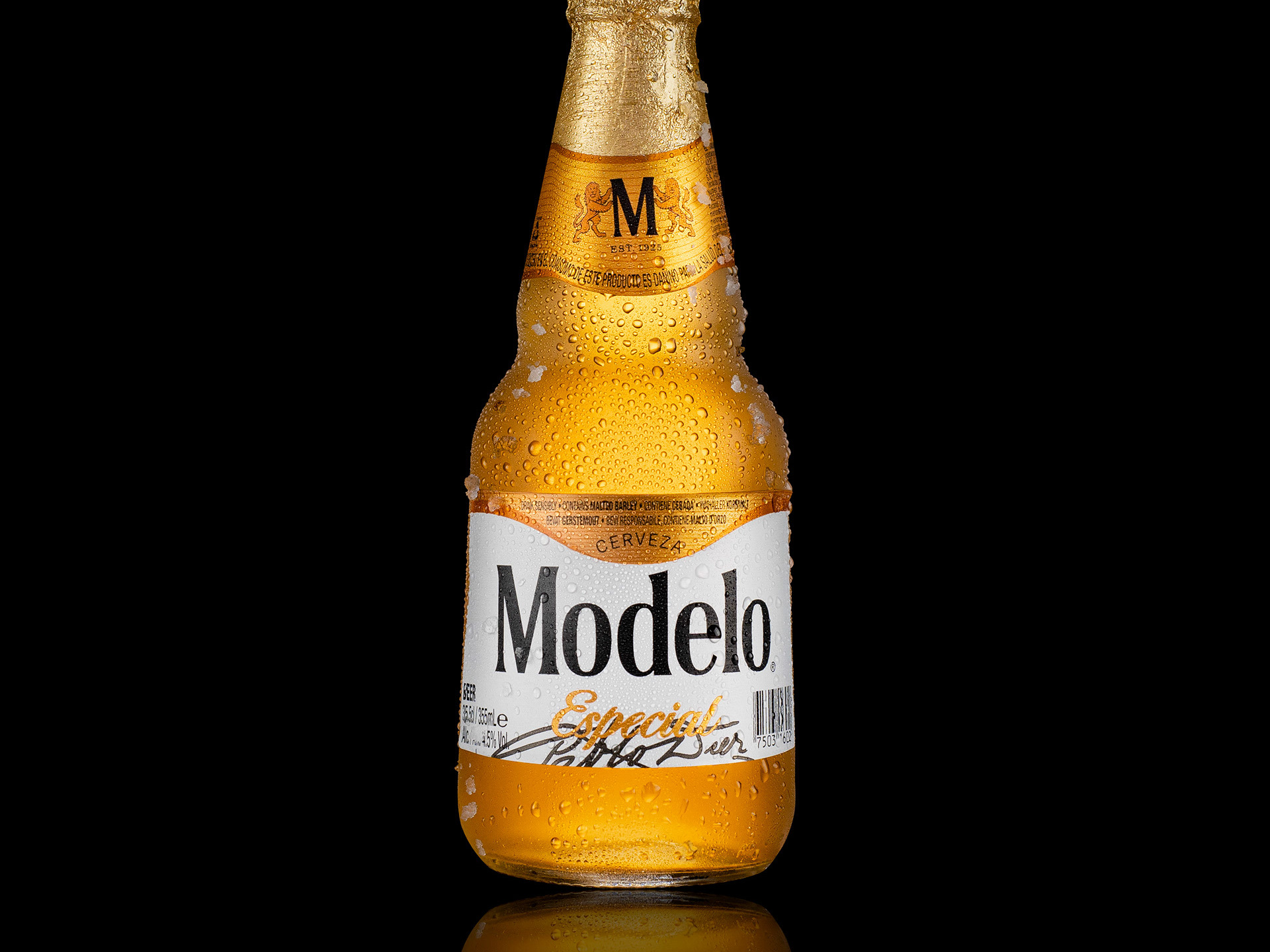 Pablo Sandí - Cerveza Modelo - Producto