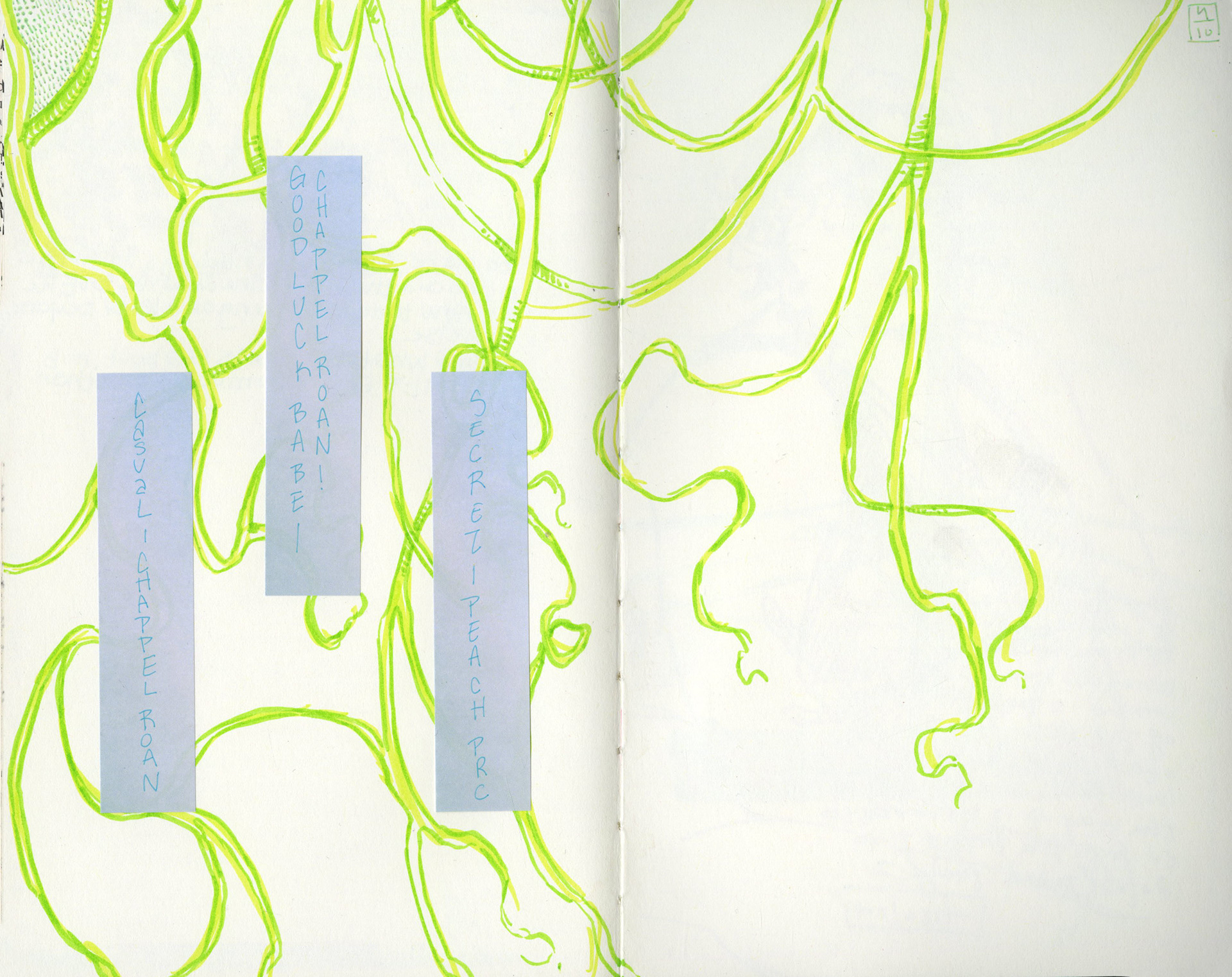 4/10/2024 marker vine study