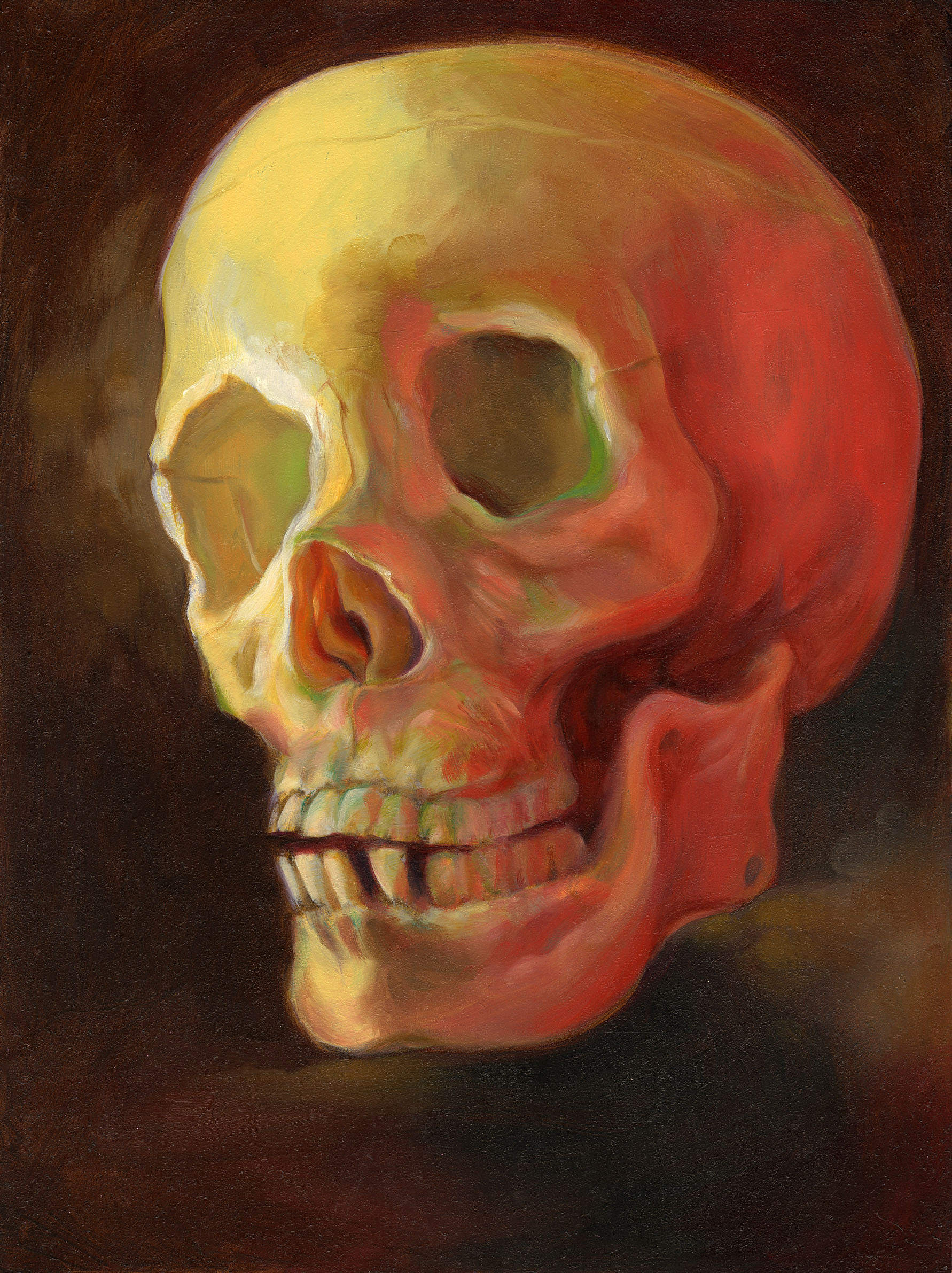 "Skull Study" Oil on Panel, 8x12in