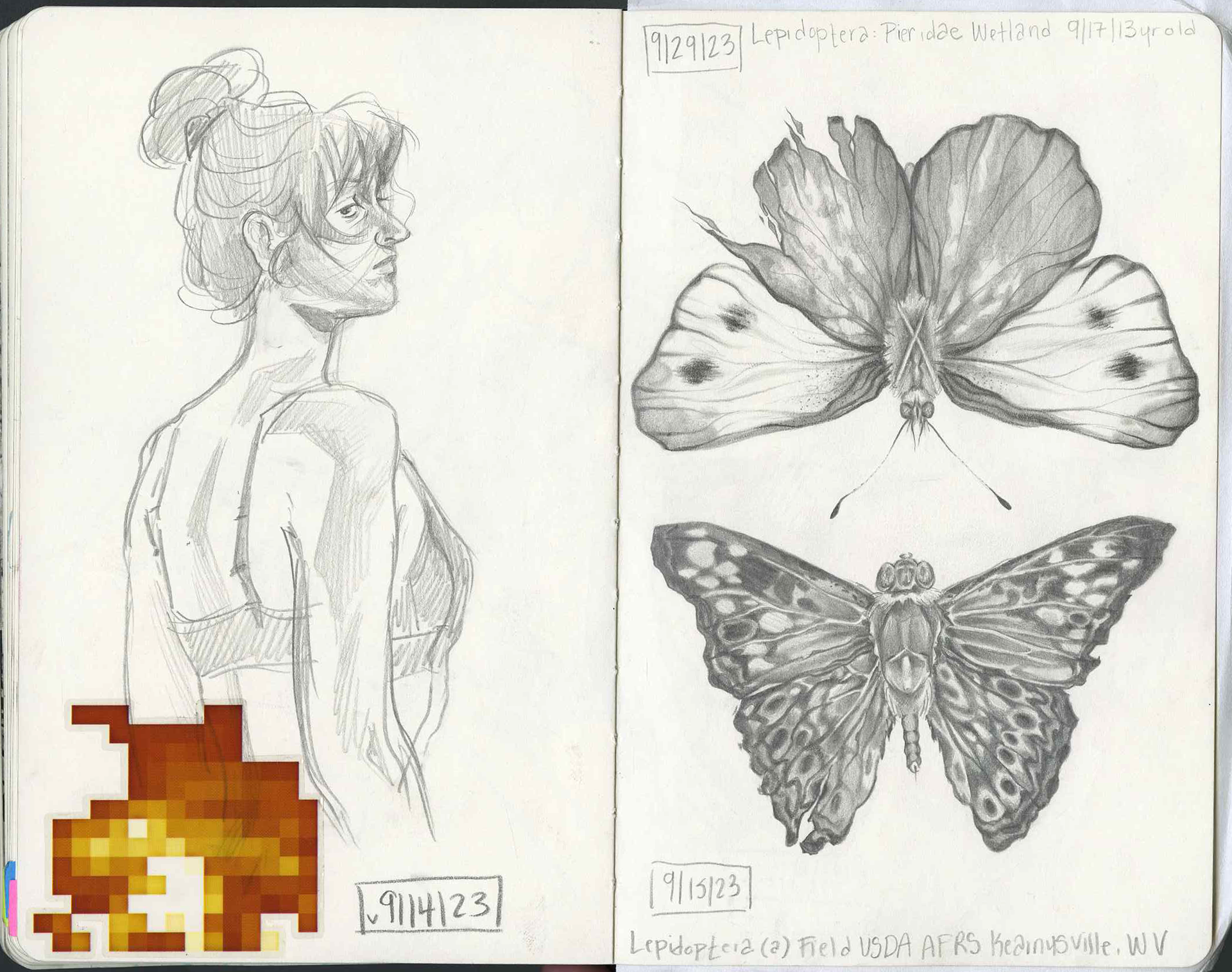 9/14-15/2023 Exploratory graphite life drawing.