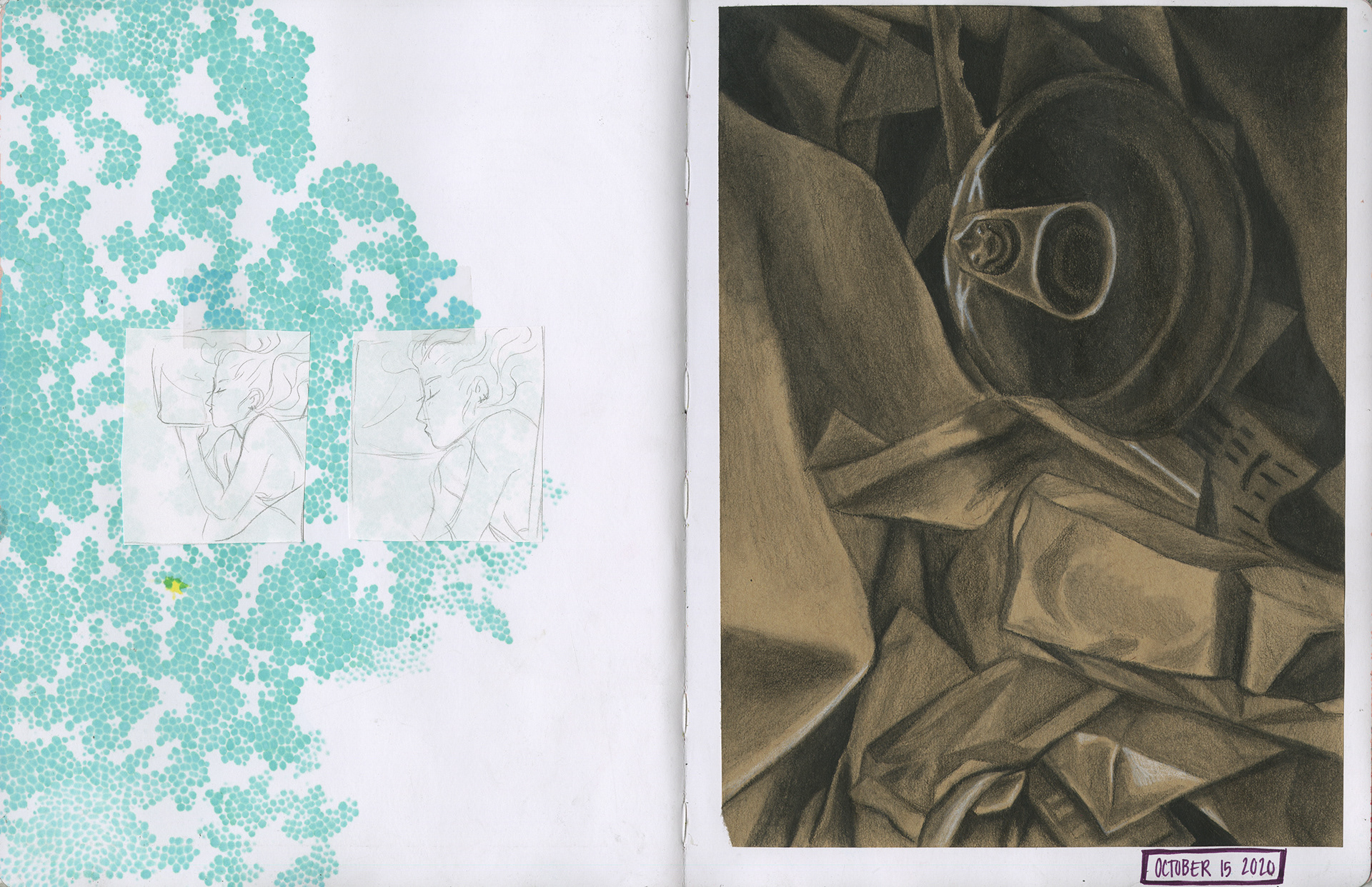 10/15/2020 trash study with charcoal 