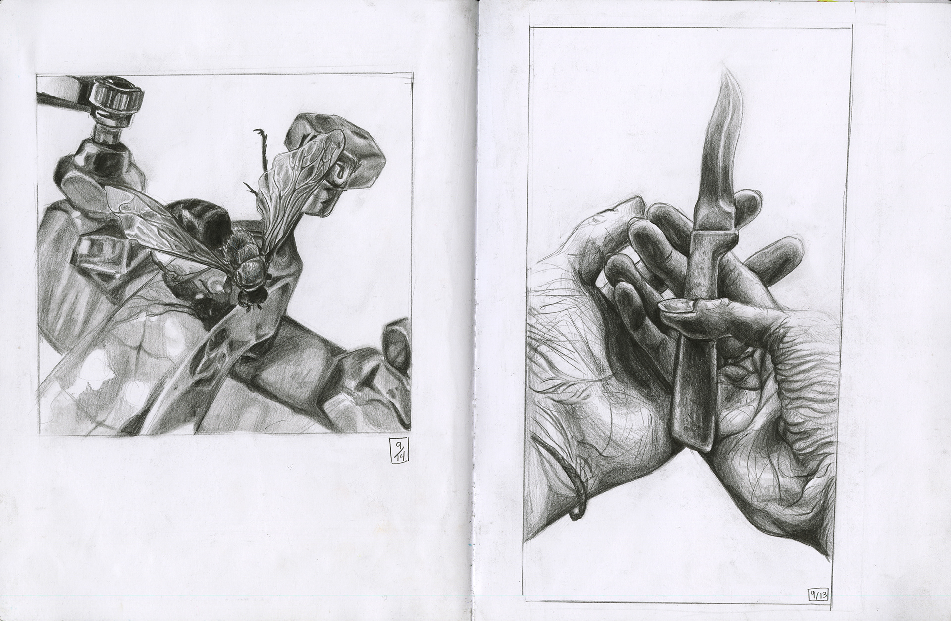 9/13-14/2020 Drawing 1 homework - bee and knife with graphite drawing pencils.