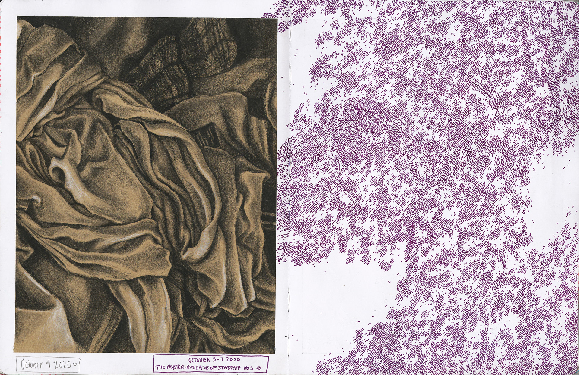 10/4-7/2020 Left page: charcoal life drawing of fabric for Drawing 1 class homework. Right page: Podcast - The Mysterious Case of Starship Iris doodles with Micron fine-liners inspired by the Swarm.