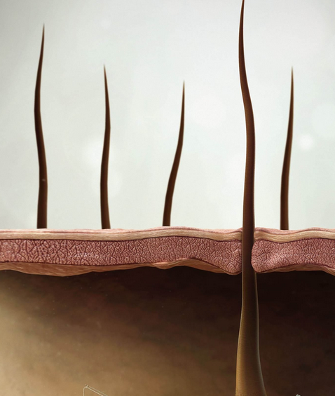 We like the idea of above and below skin - the under being not too science-like so easy to see the heat going down.