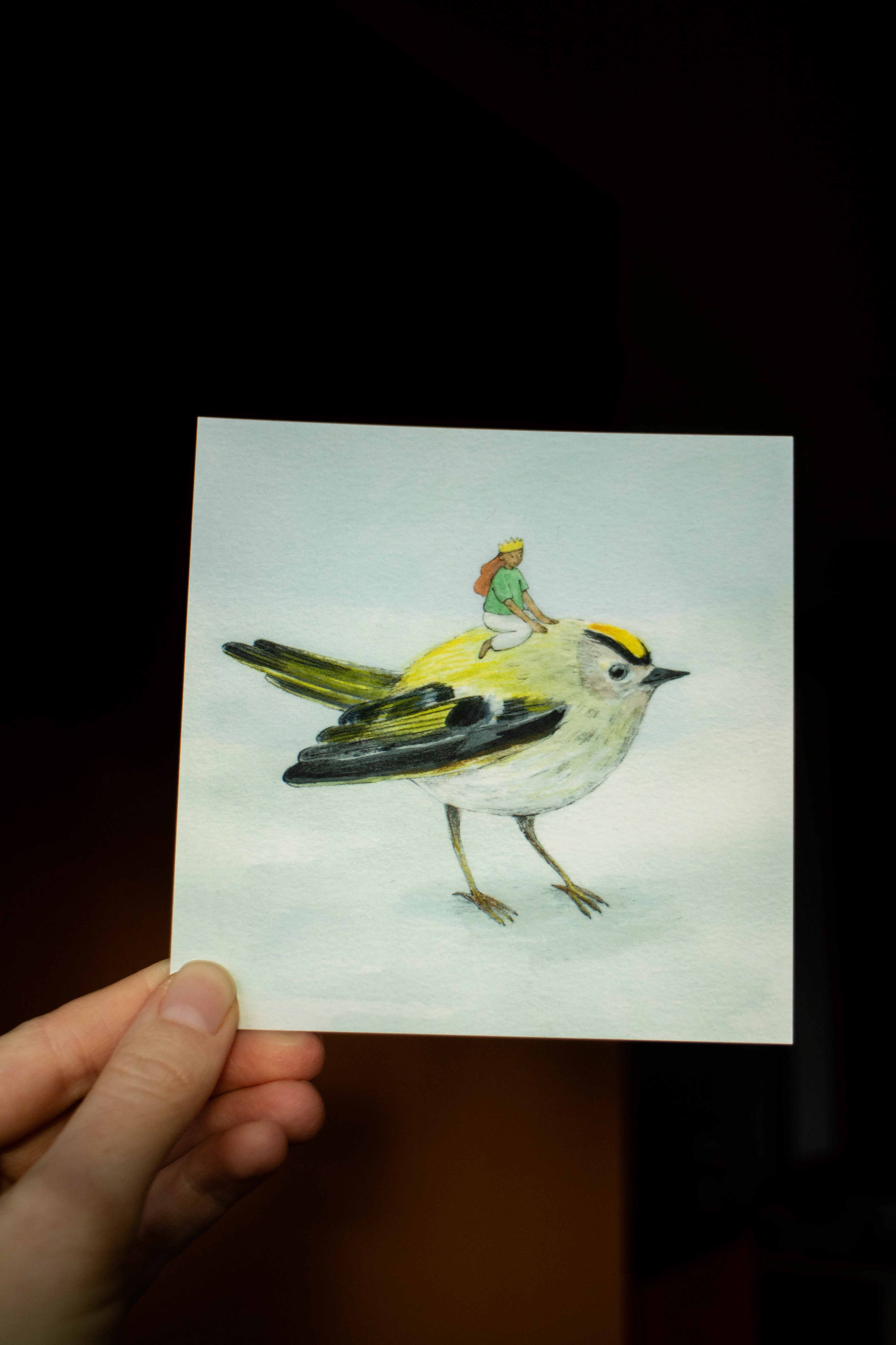 F-11 - Fuglekonge, enkelt kort med konvolutt - 30 NOK