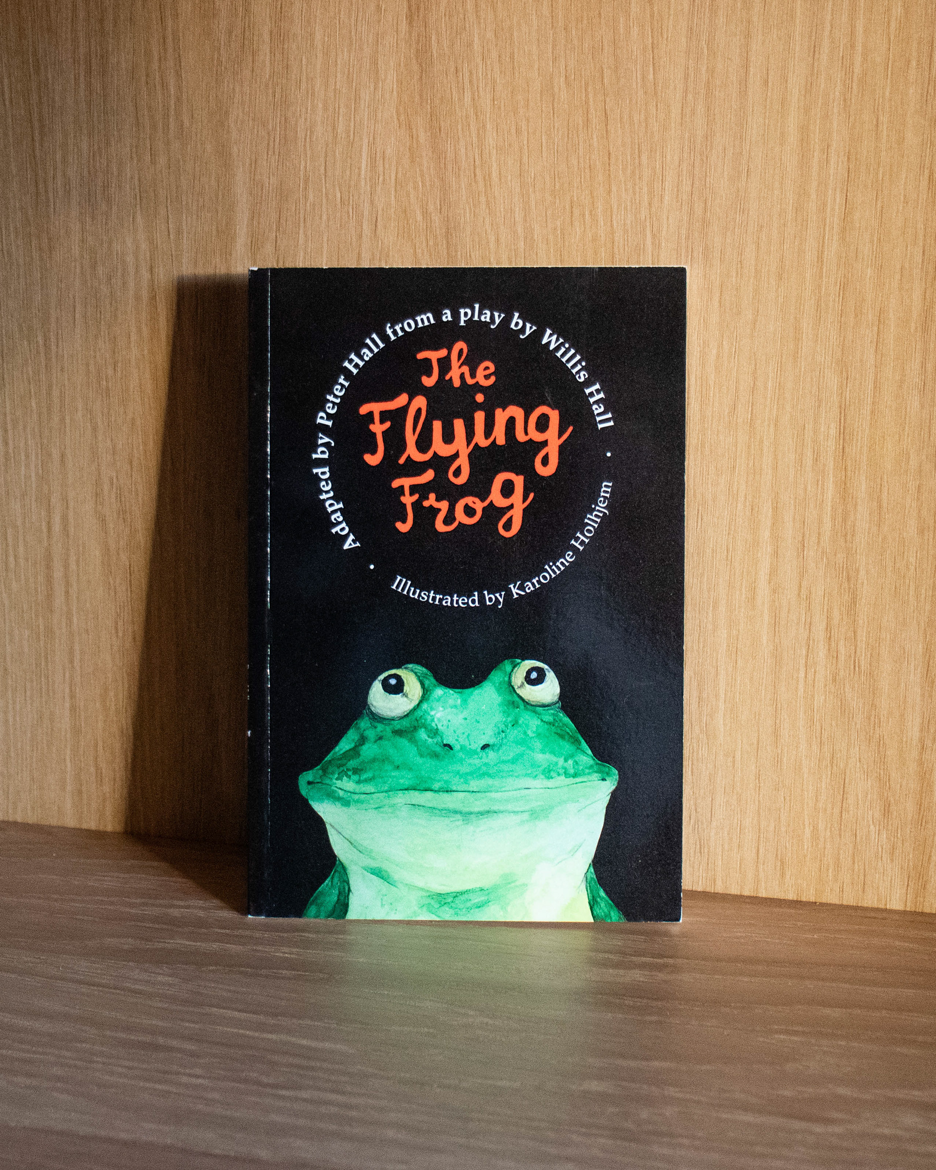 B-14 The Flying Frog - Pris: 170 NOK