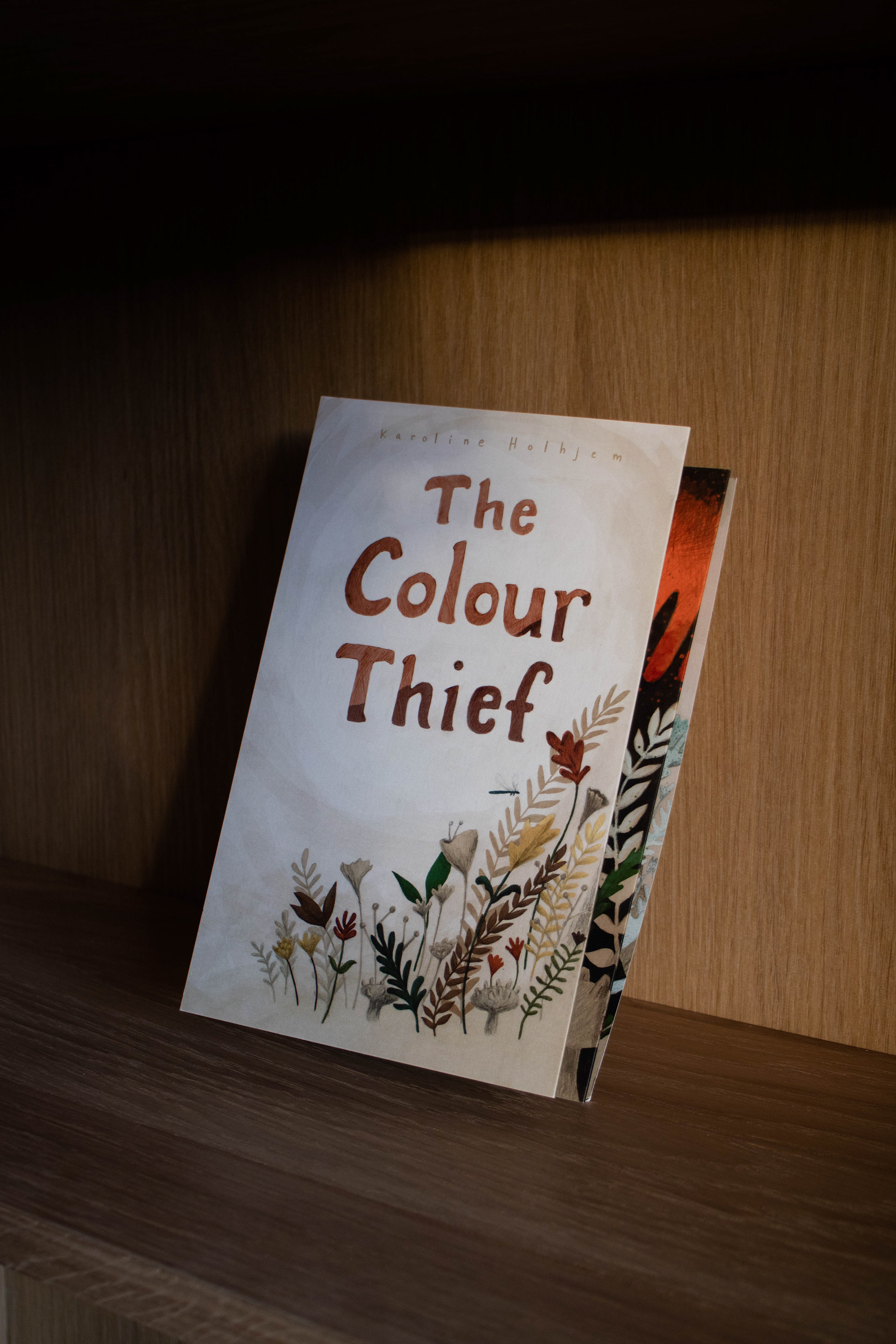 B-13 The Colour Thief - Pris: 200 NOK