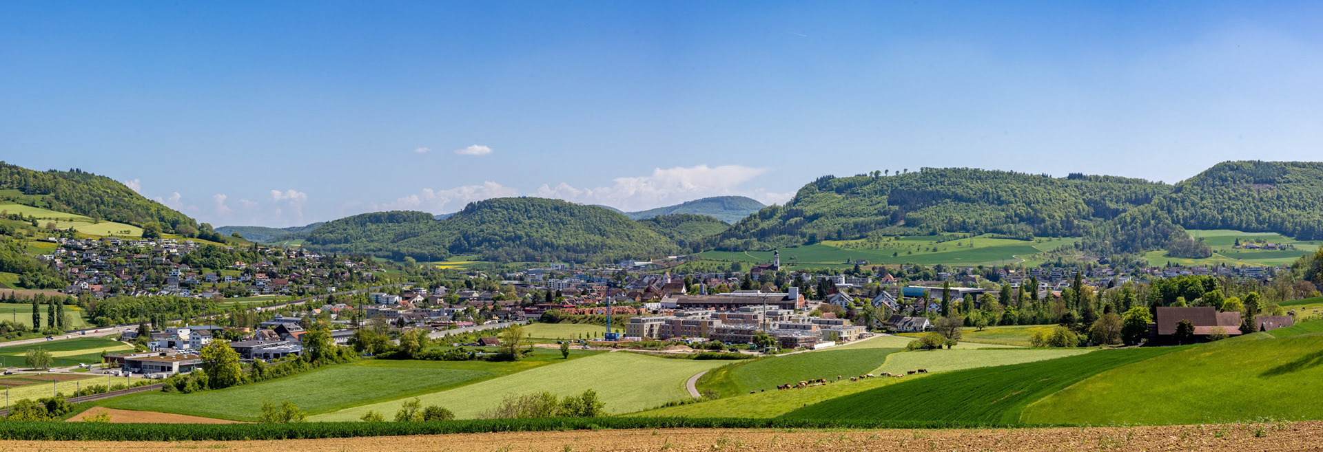 Panorama vom Leischberg