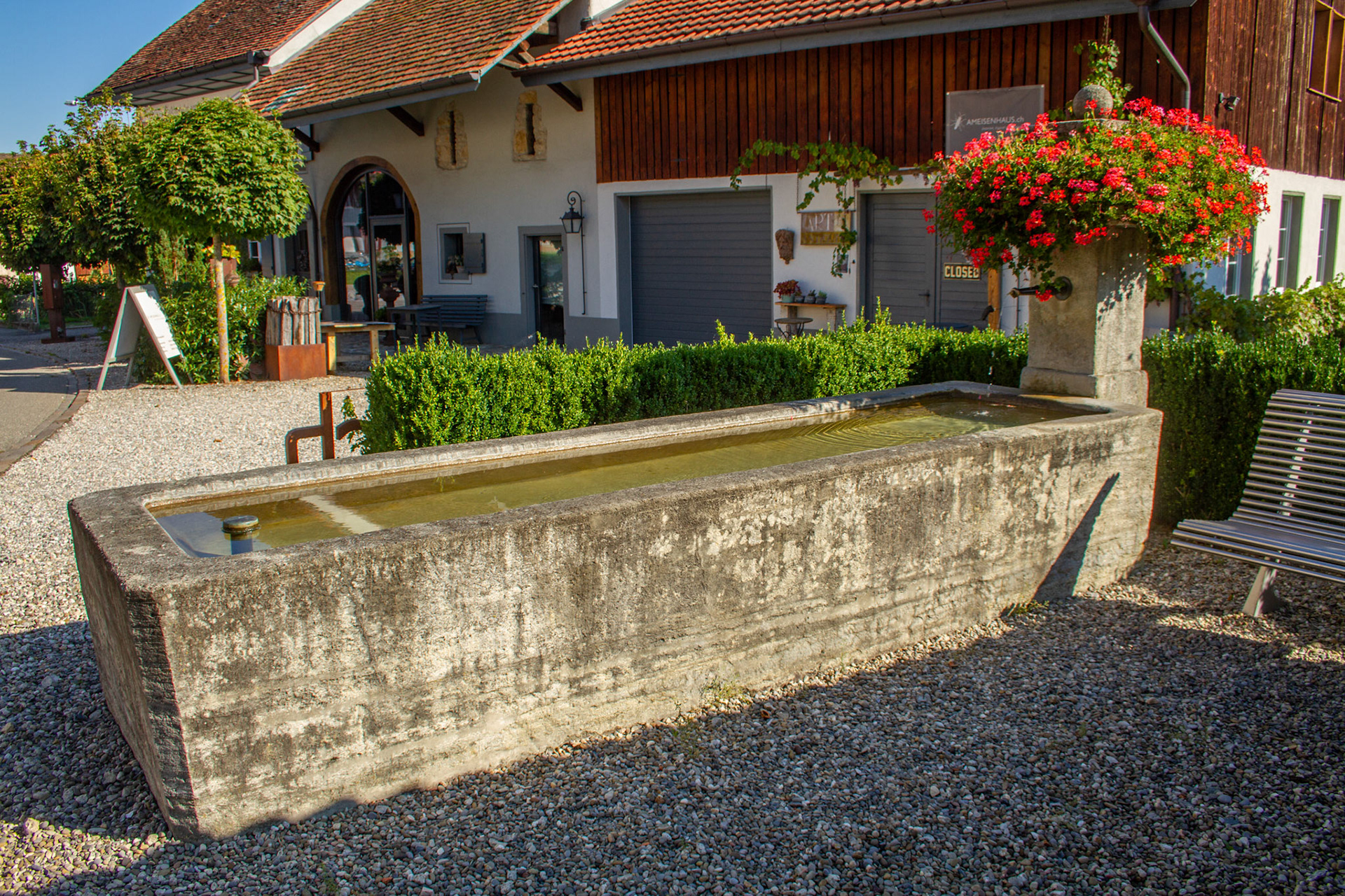 Brunnen Ameisenhaus