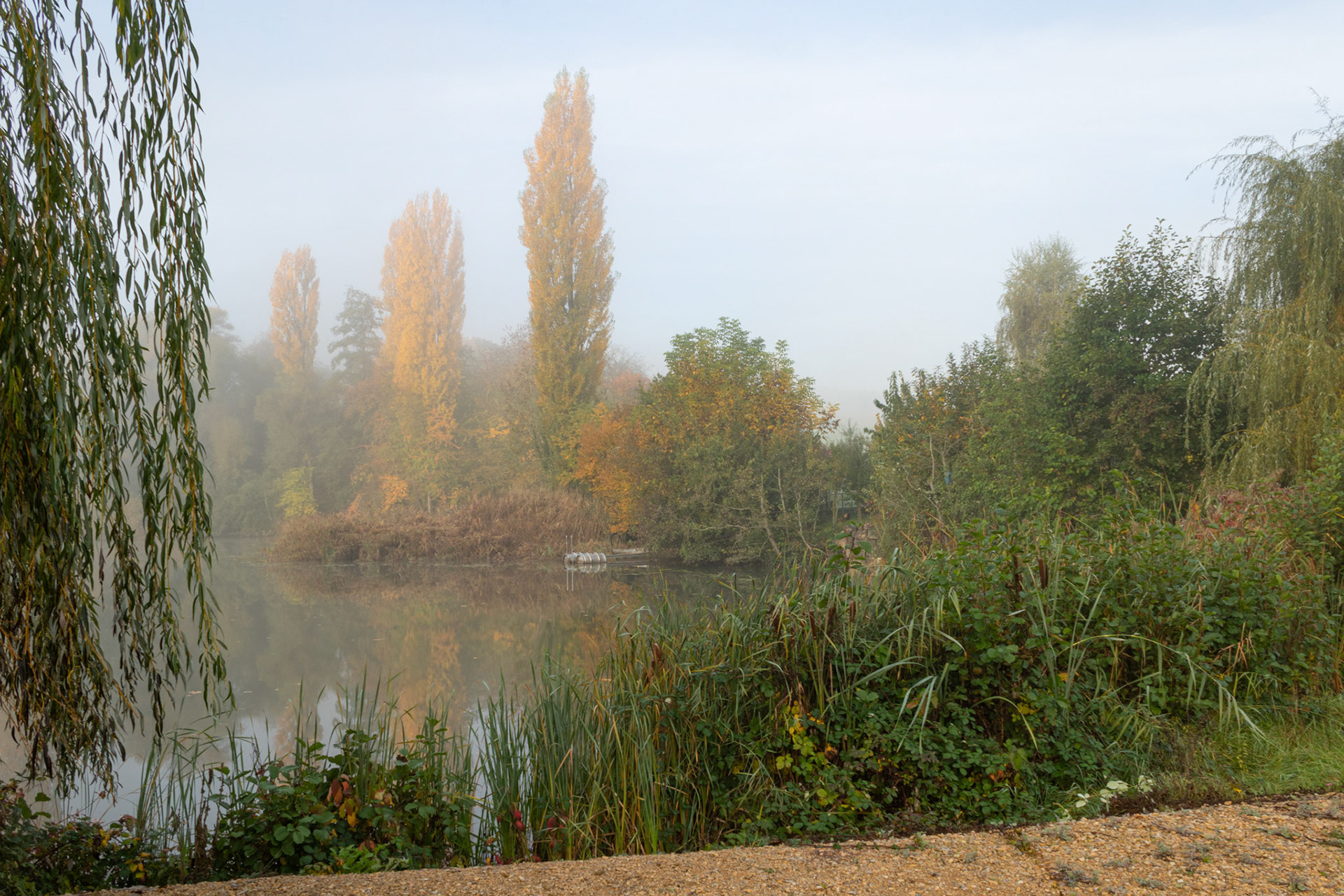 Zeigeleiweiher Nebel