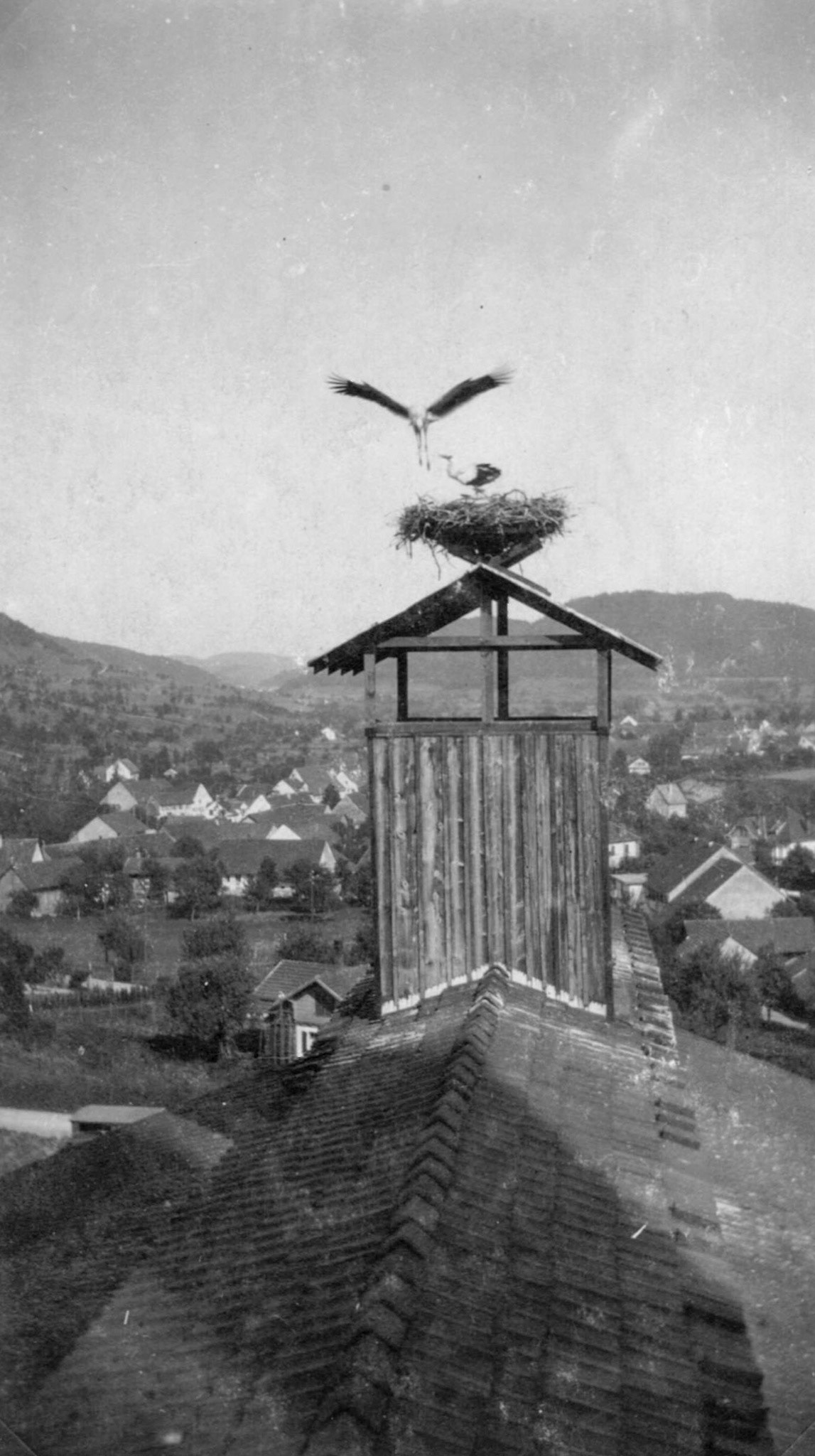 Storchennest Ziegelei 1928