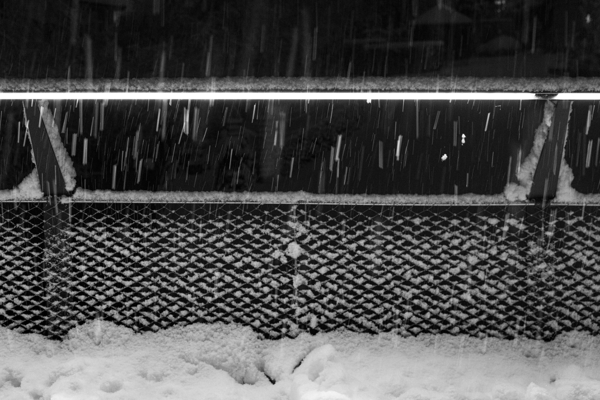 Neuschnee in der Nacht