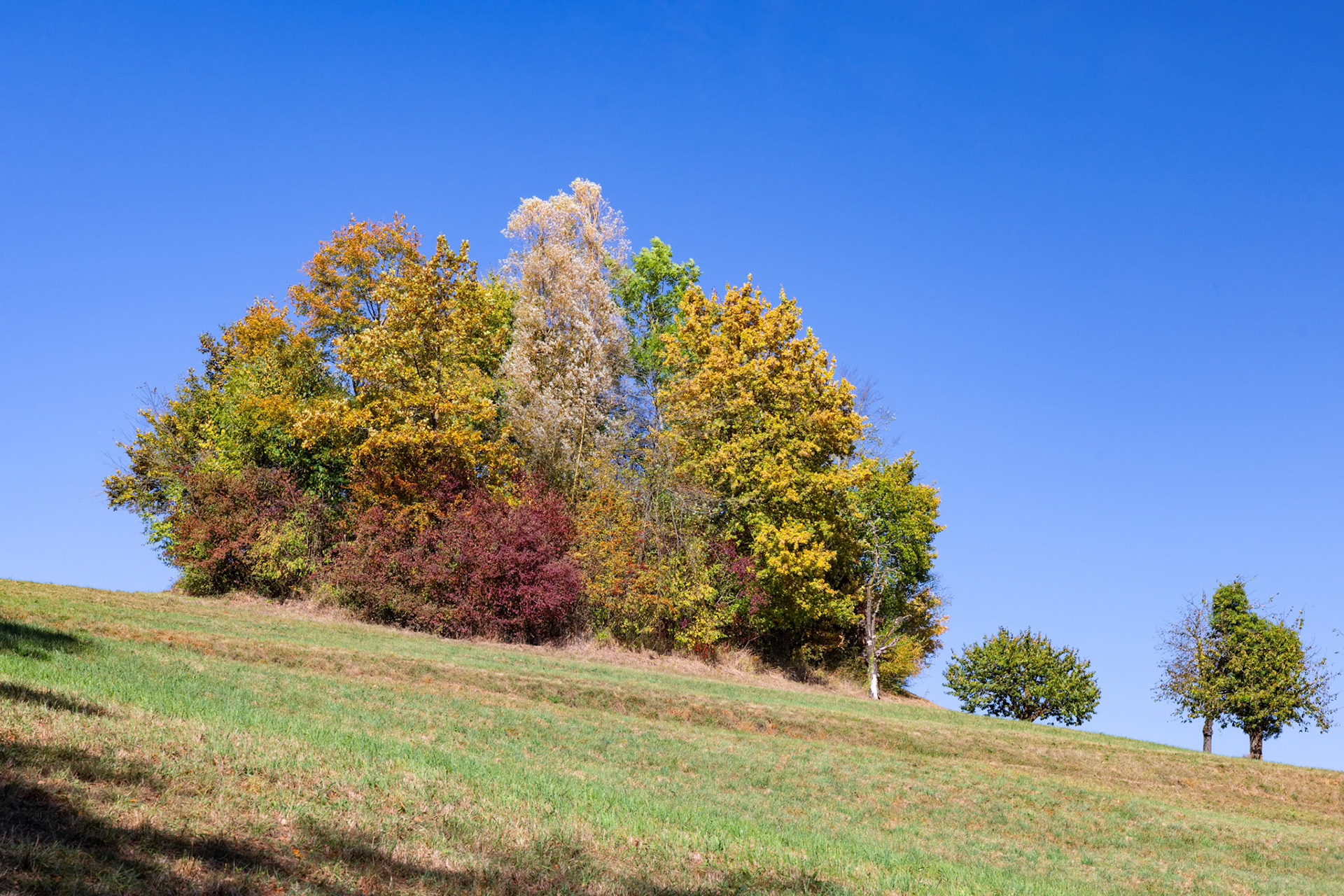 Herbststimmung im Steig