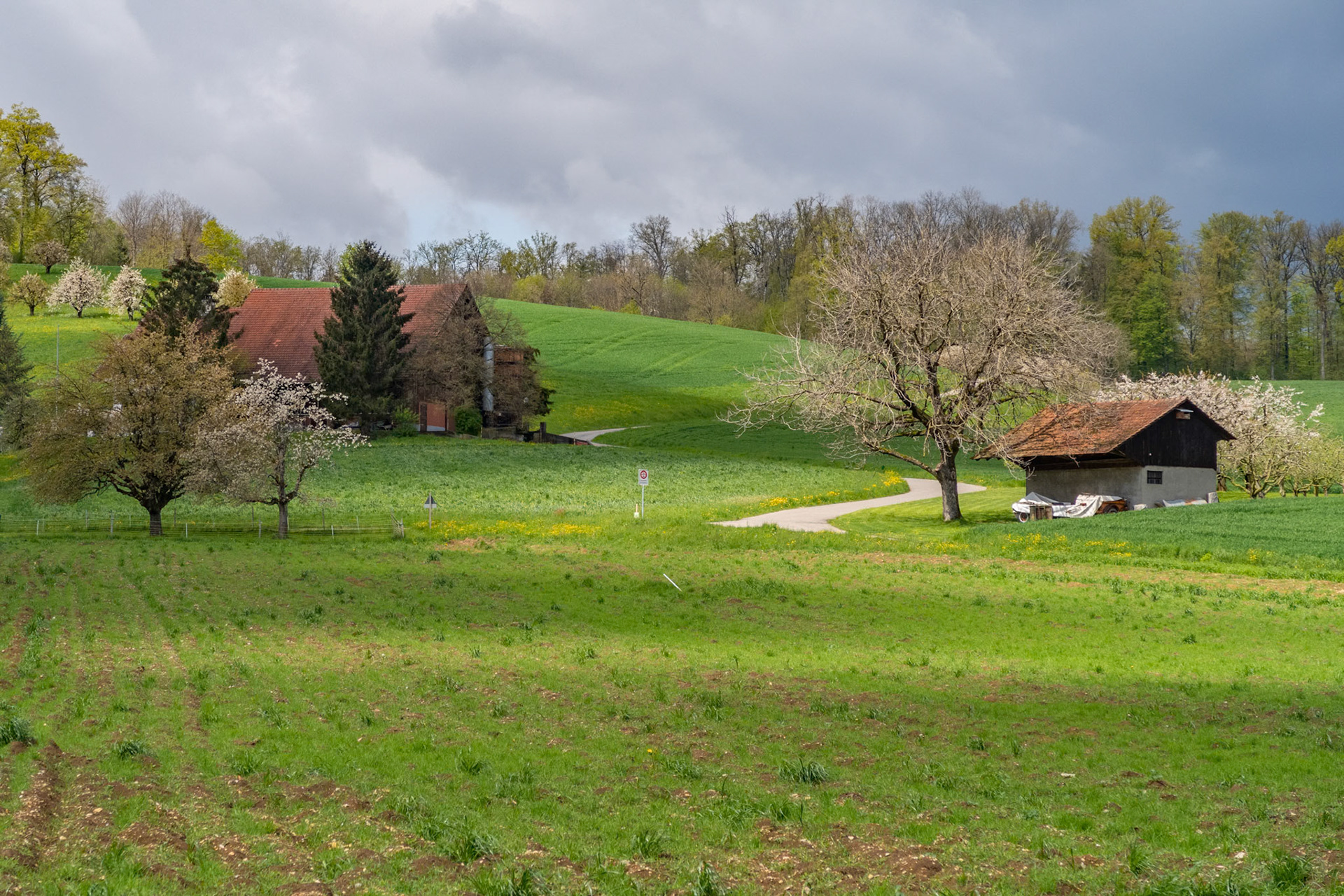 Schützenhof