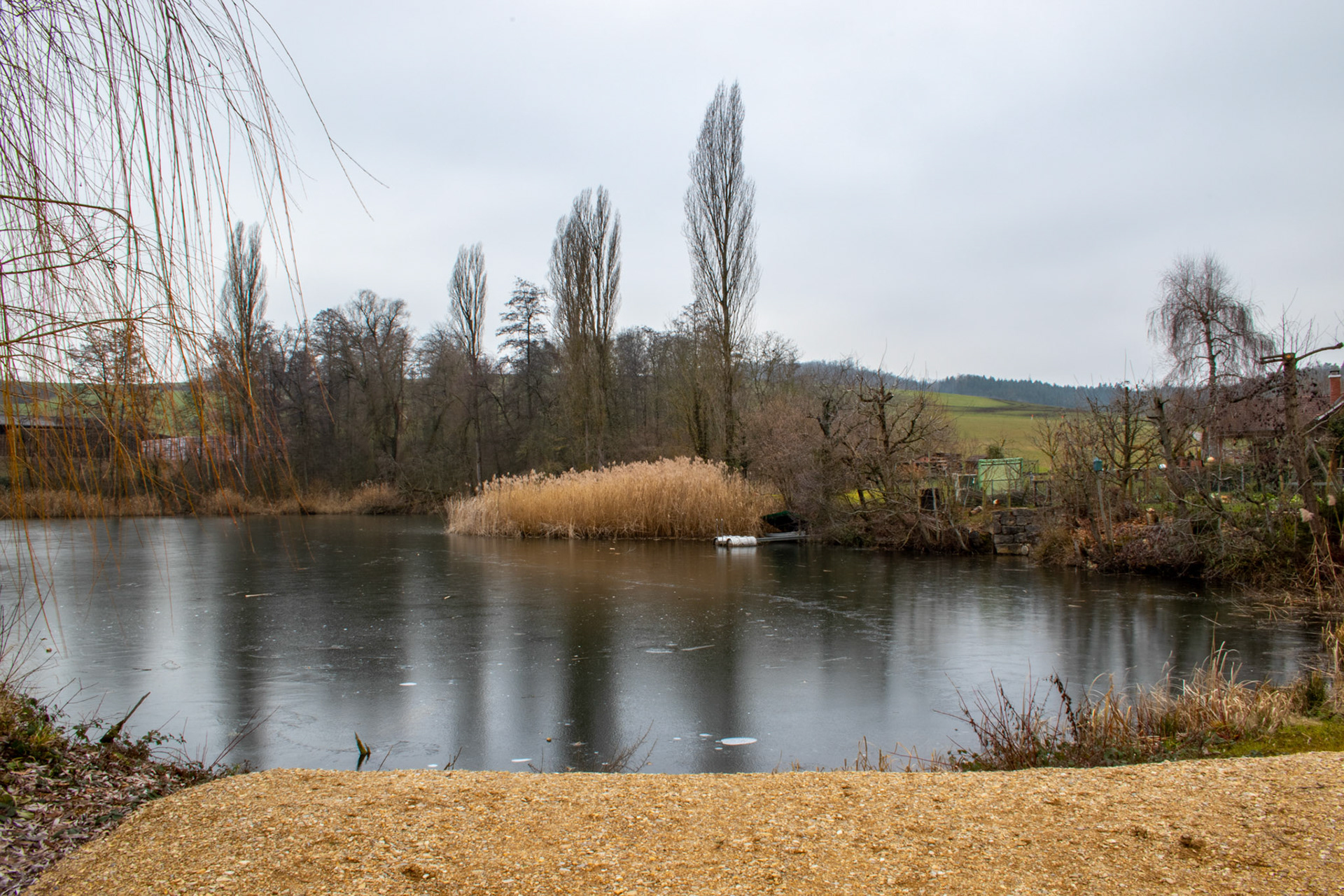 Ziegeleiweiher gefroren