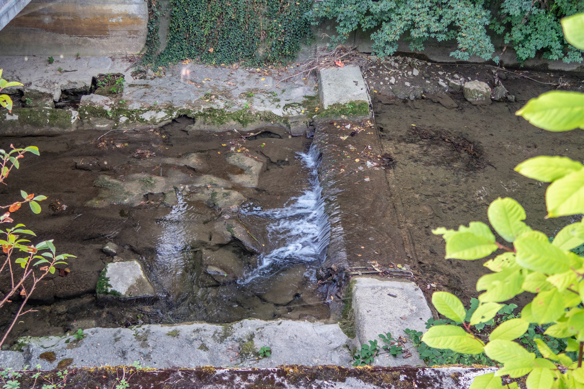 Bruggbach mit wenig Wasser