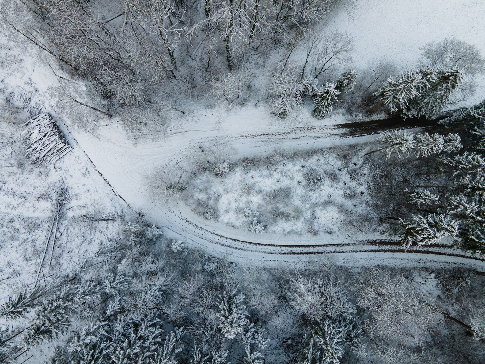 Waldweg im Schnee von oben