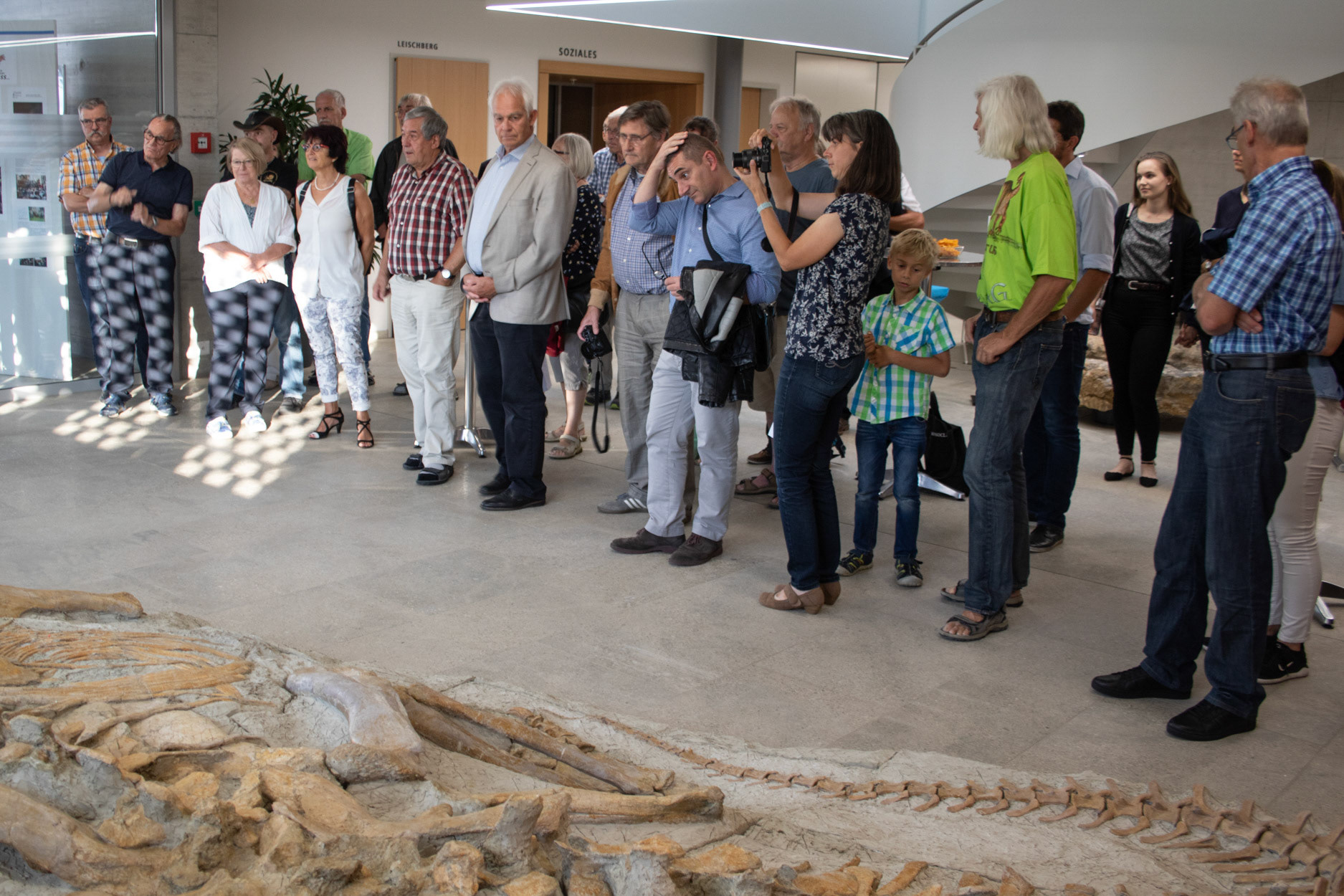 Vernissage XXL Plateosaurus